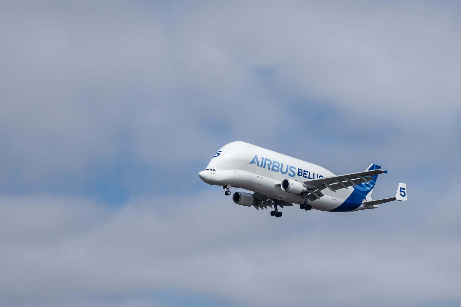 1920x1280 Airbus Beluga In Flight Wallpaper