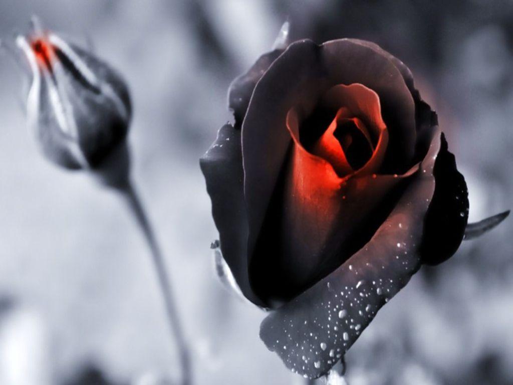 1024x768 Black Magic Wallpaper