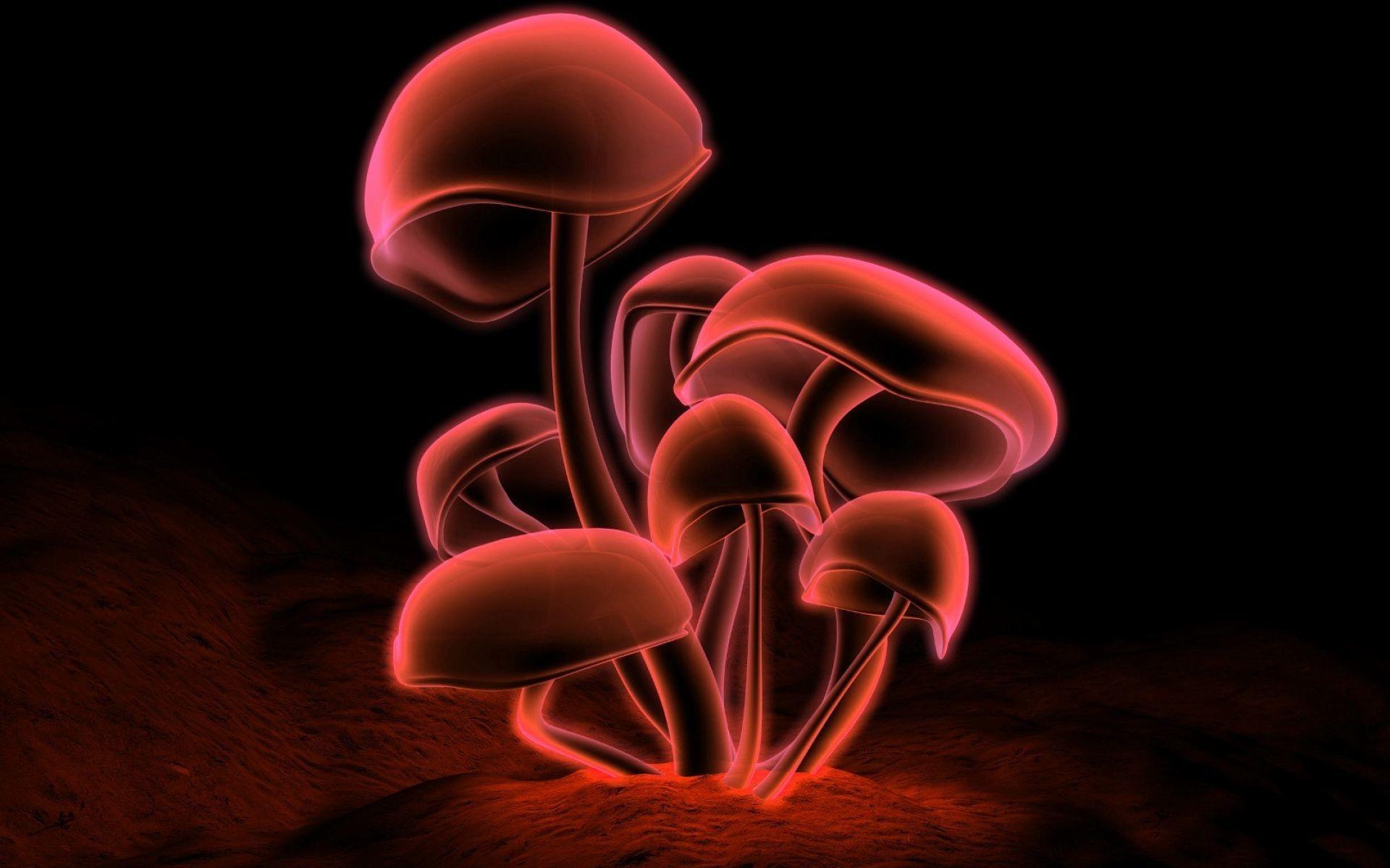 Cute Mushroom Wallpapers Top Free Cute Mushroom Backgrounds