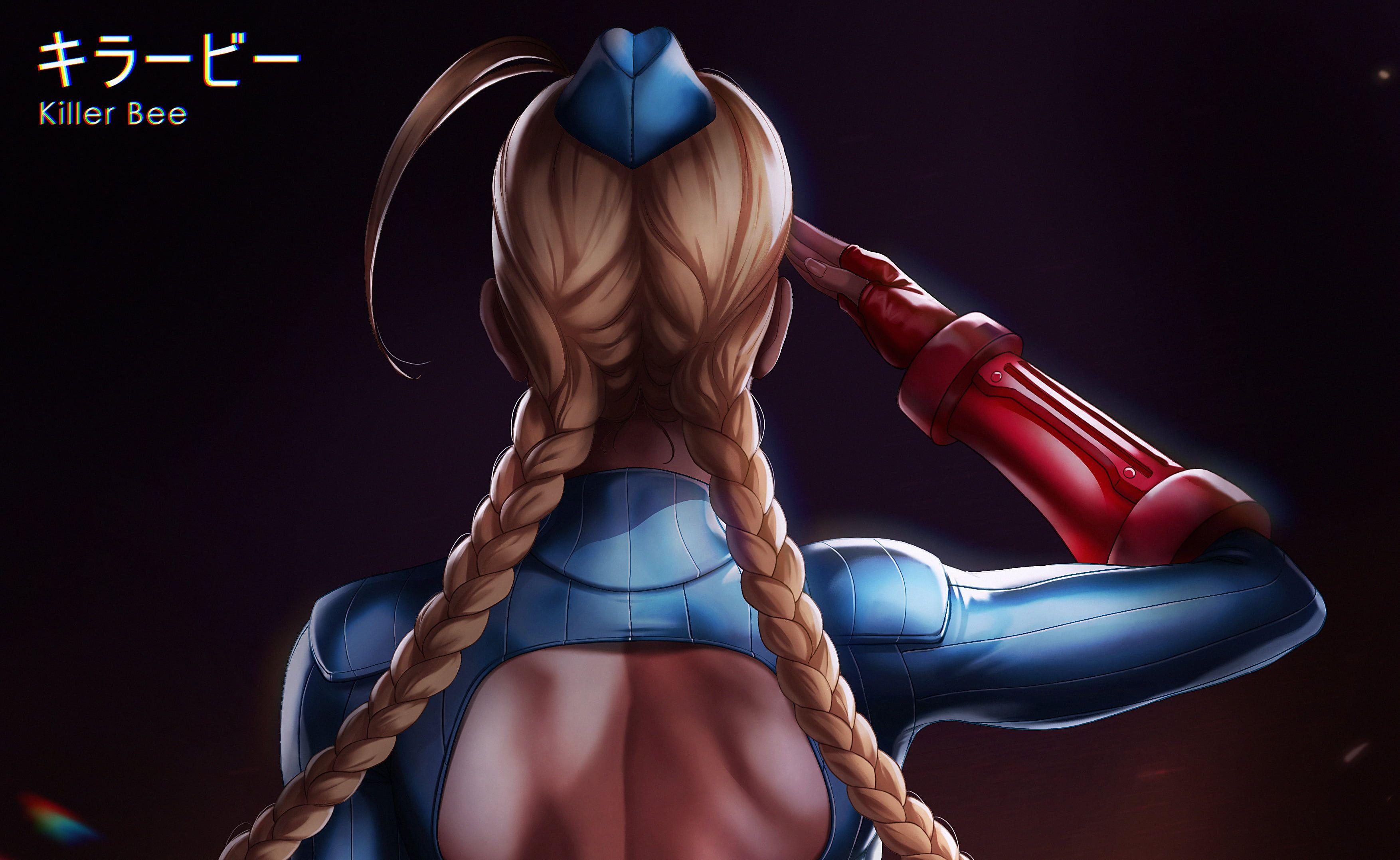 3508x2154 HD wallpaper: anime girls, Cammy White, cat, Street Fighter