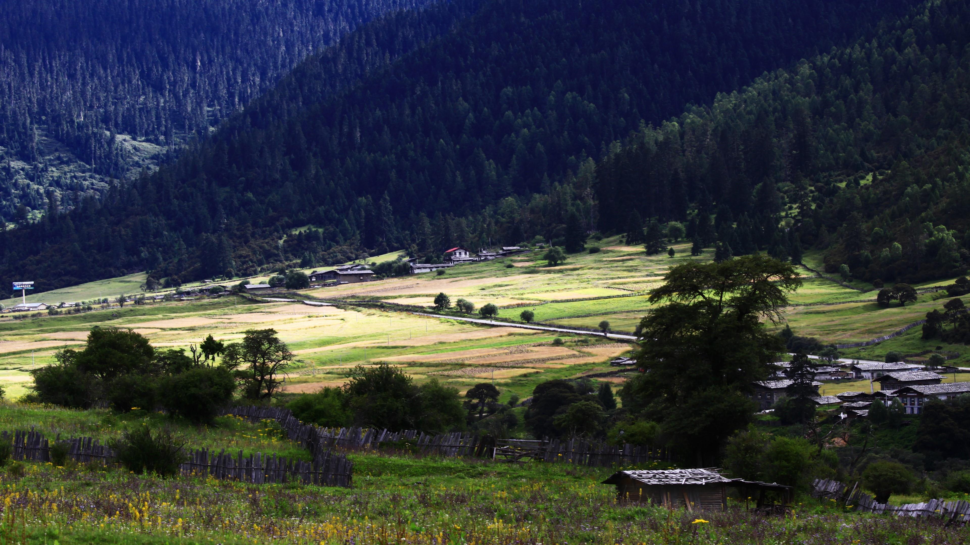 3840x2160 Tibetan Plateau Scene Lang Zhen (Lulang Town) Wallpaper