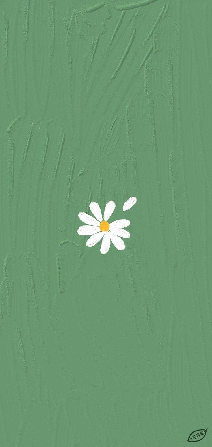 736x1553 Aesthetic Flowers Green Wallpaper