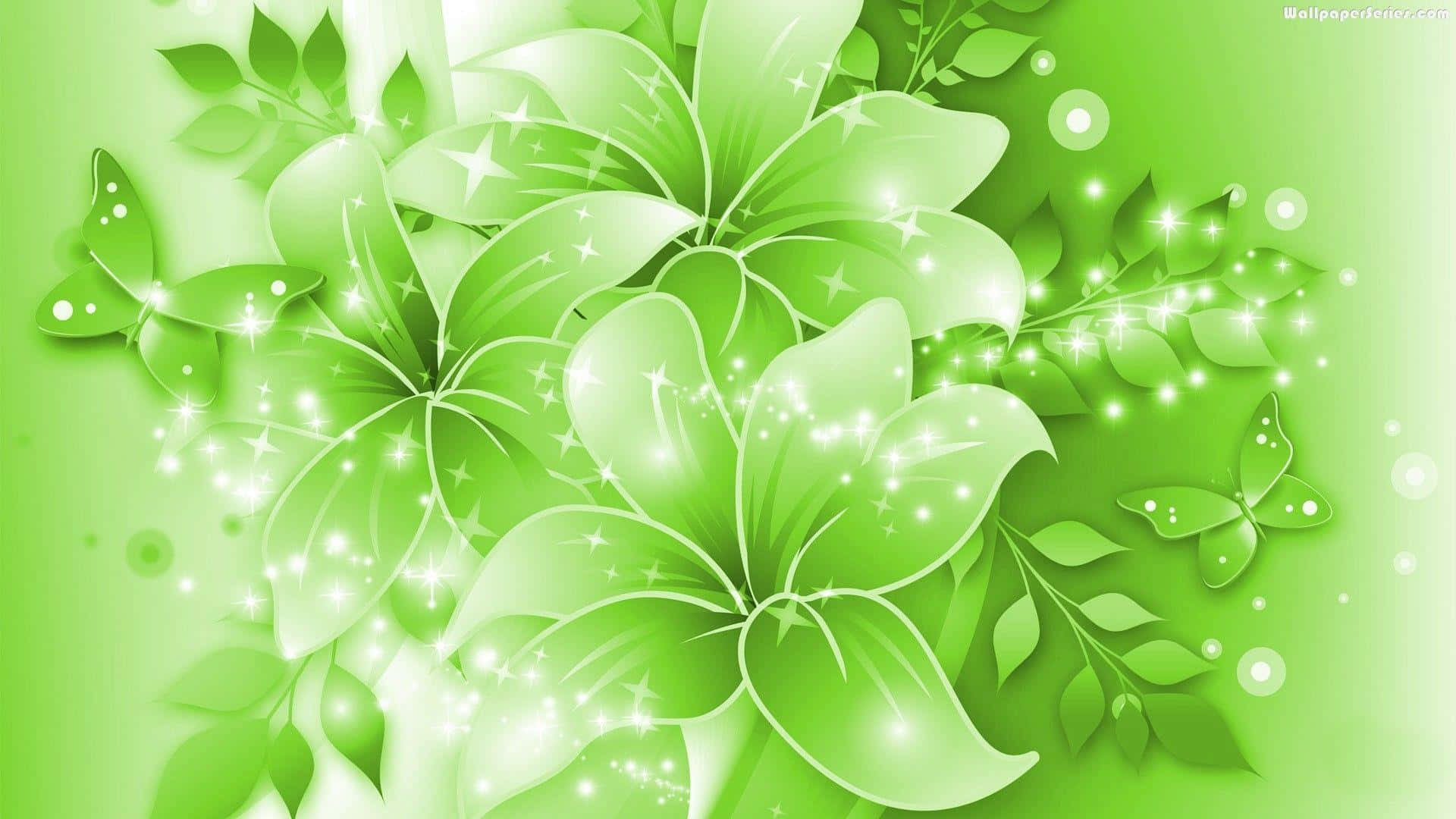 1920x1080 Green Flower Background. Wallpaper