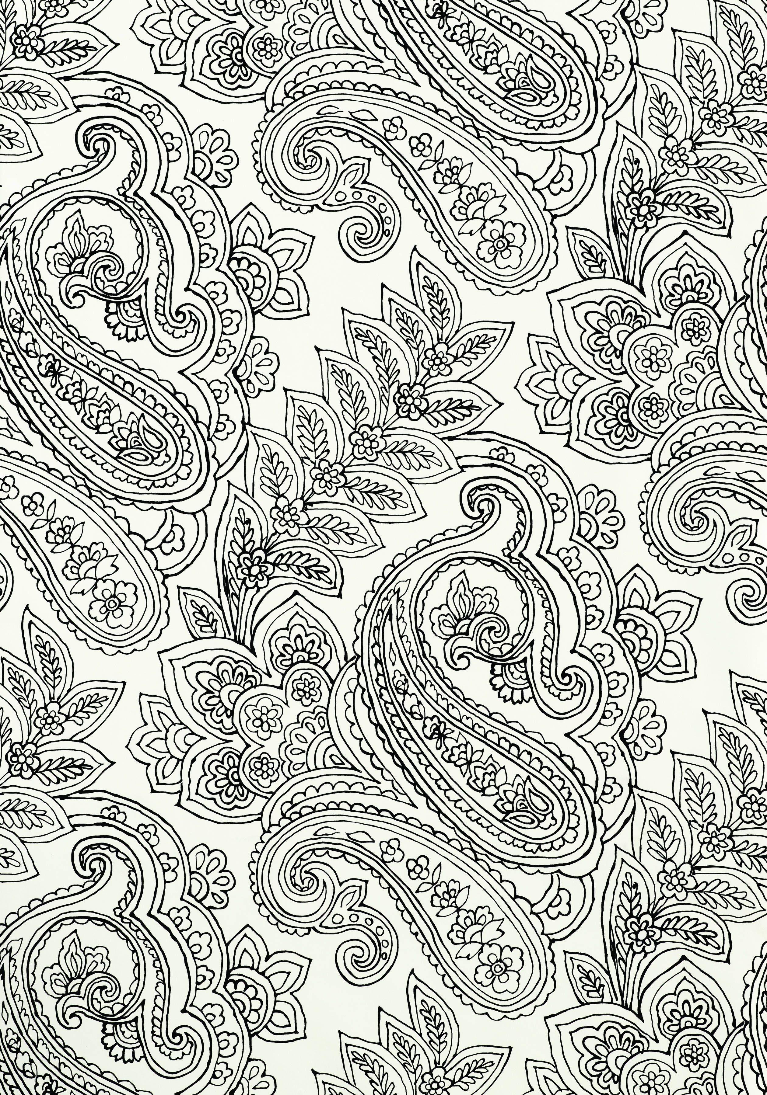 2520x3600 Black and White Paisley Wallpaper at