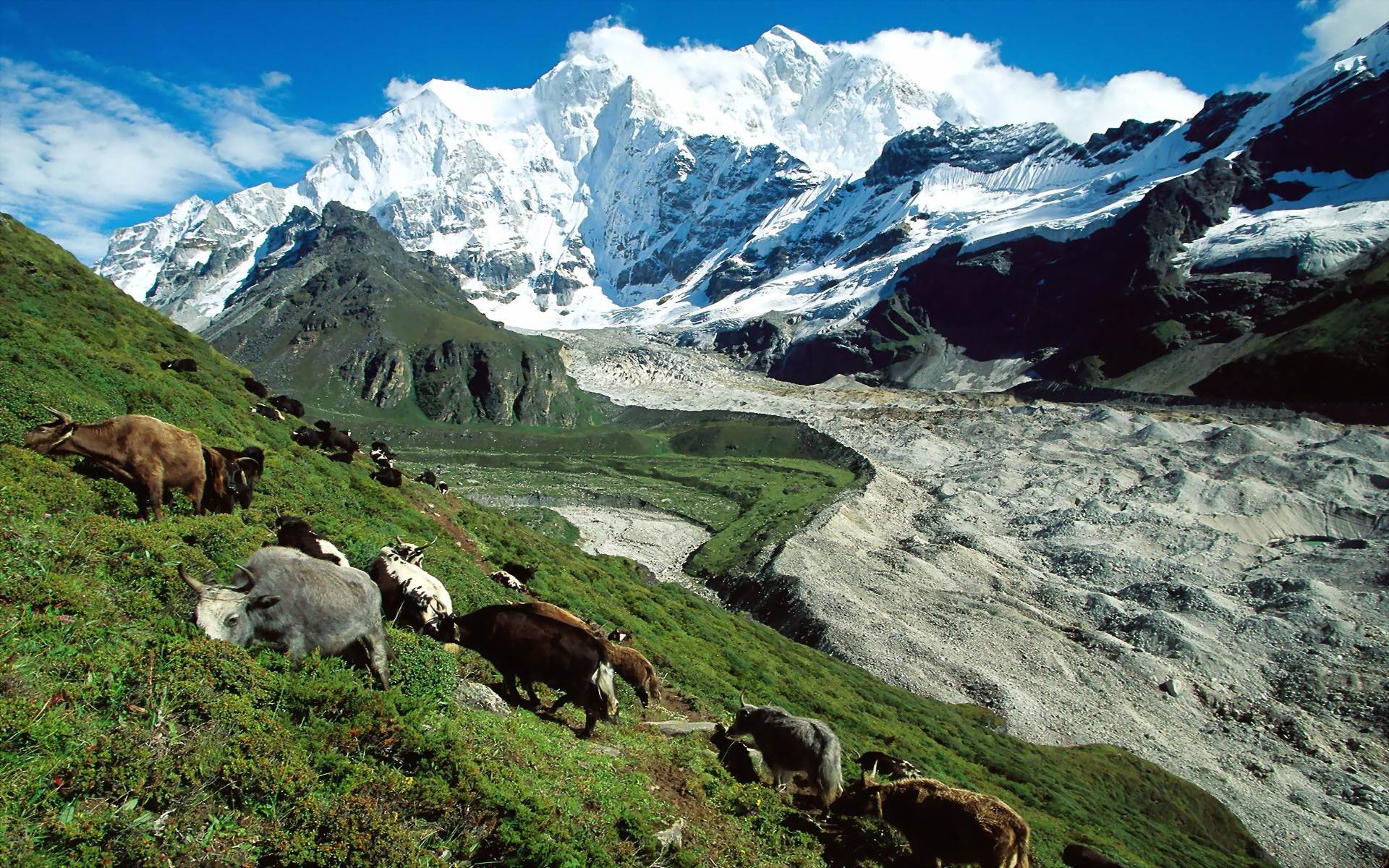 1920x1200 Tibet Monastery wallpaper. 1600×1200 Tibetan Wallpaper. Adorable