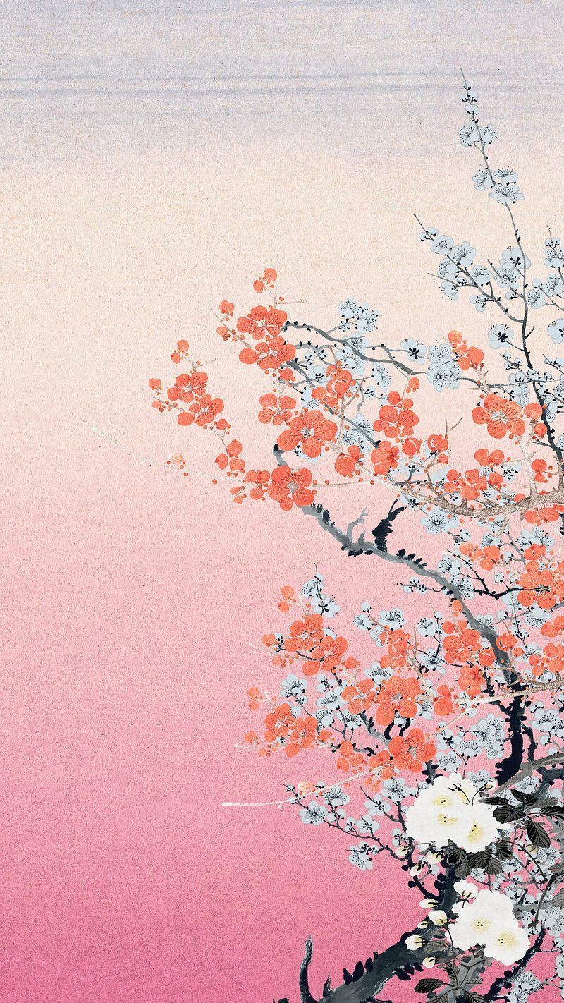 800x1422 Cherry Blossom Background Wallpaper