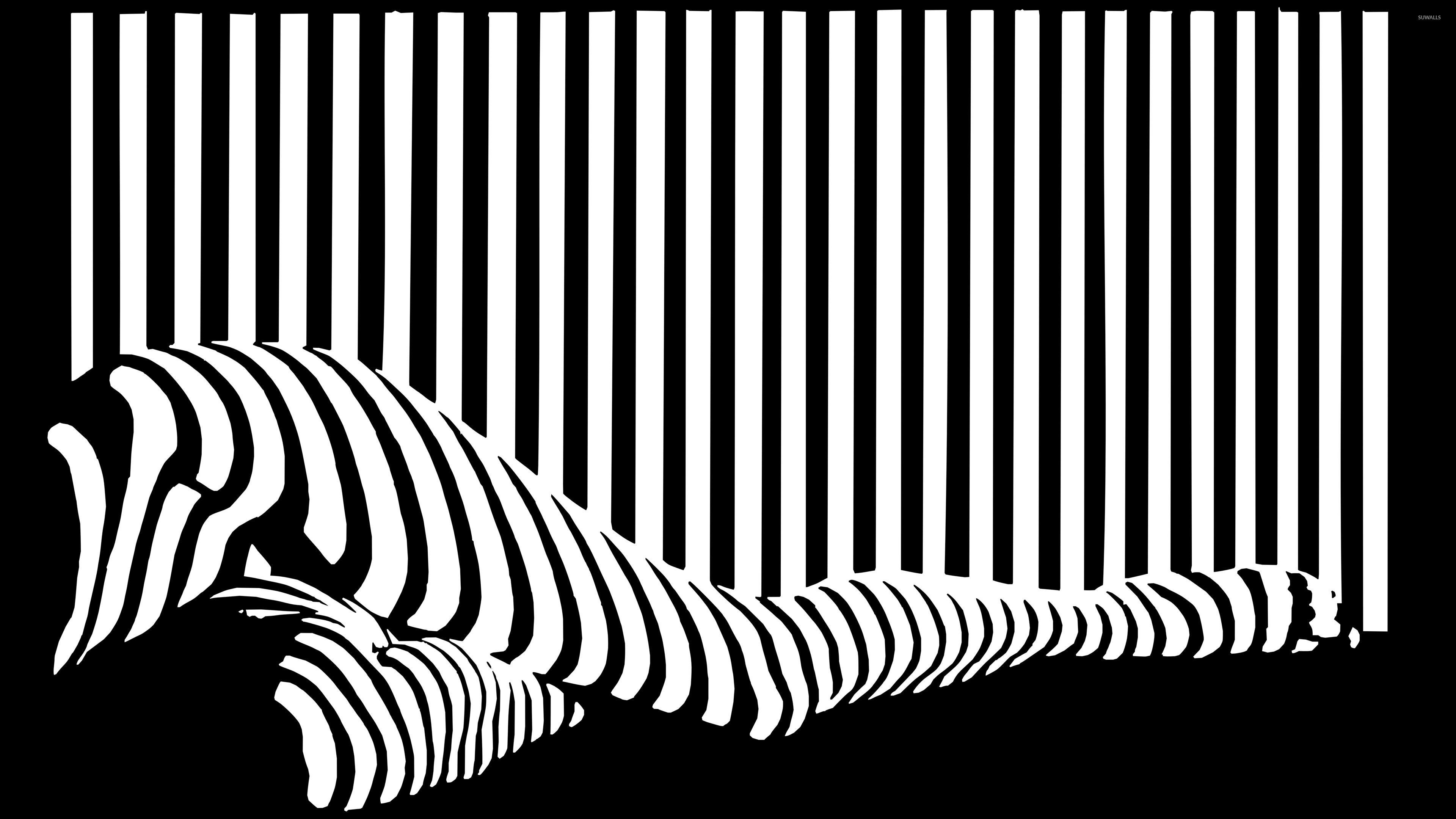 3840x2160 Black and white stripes on legs wallpaper wallpaper