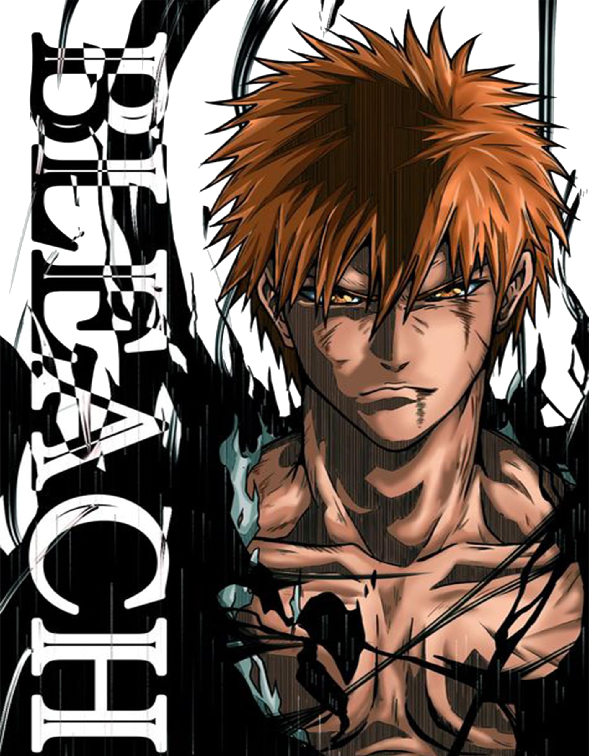 1995x2560 Zanpakuto Bleach Anime Poster