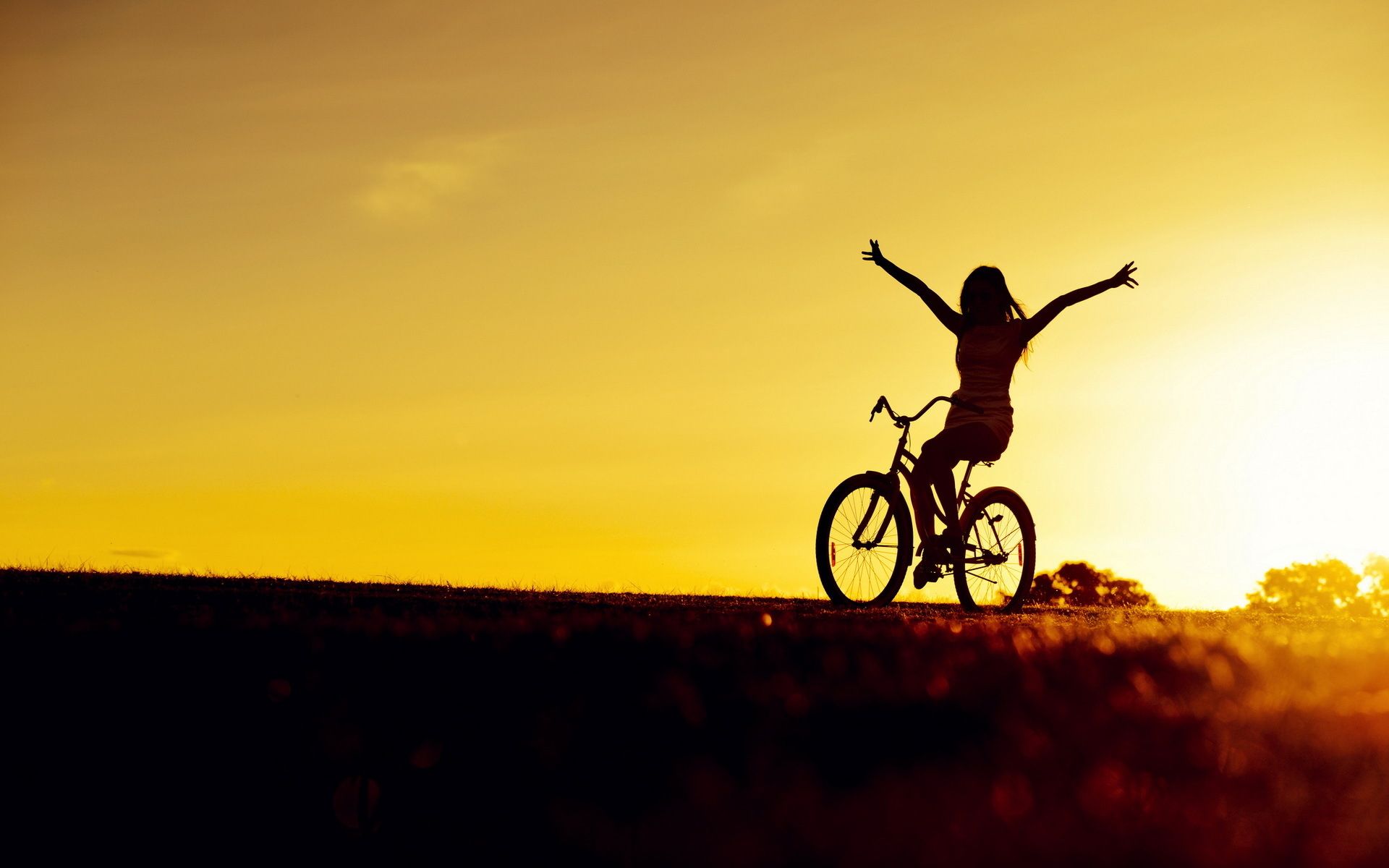 1920x1200 Wallpaper Bicycle Girl, Bicycle