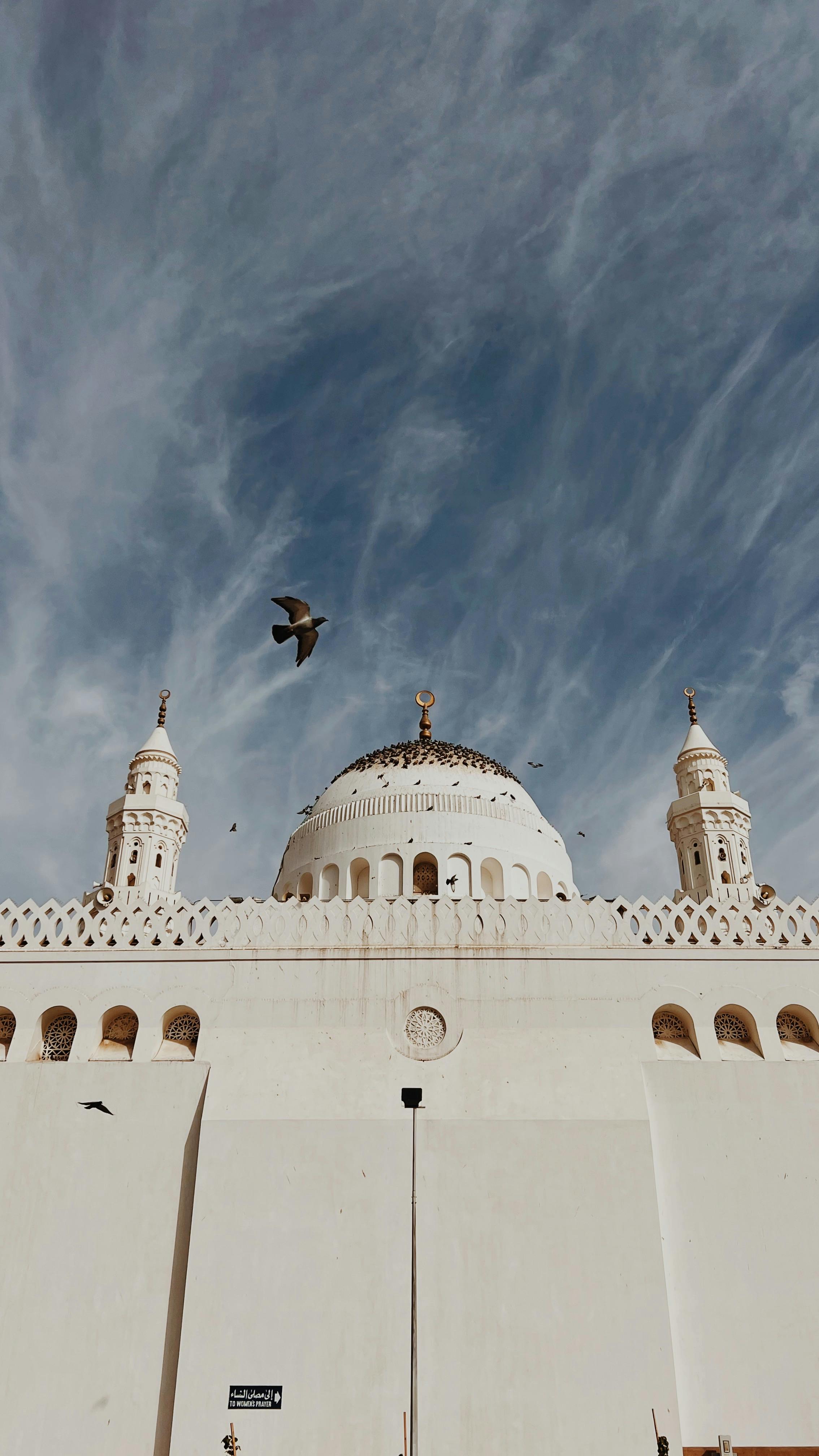 2268x4032 Medina & HD Image