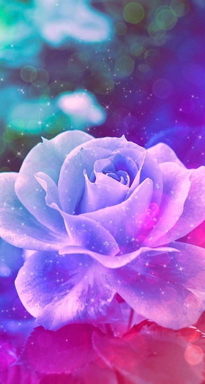 714x1334 Nice IPhone 8 Fond D'écran Swag Hipster Wallpaper Hd 271. Flower Iphone Wallpaper, Rose Wallpaper, Flower Wallpaper