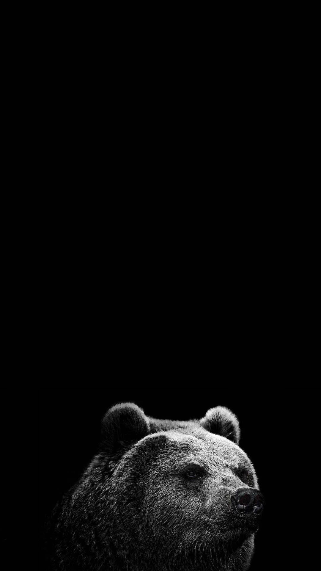 1080x1920 Pure Black HD Phone HD Wallpaper