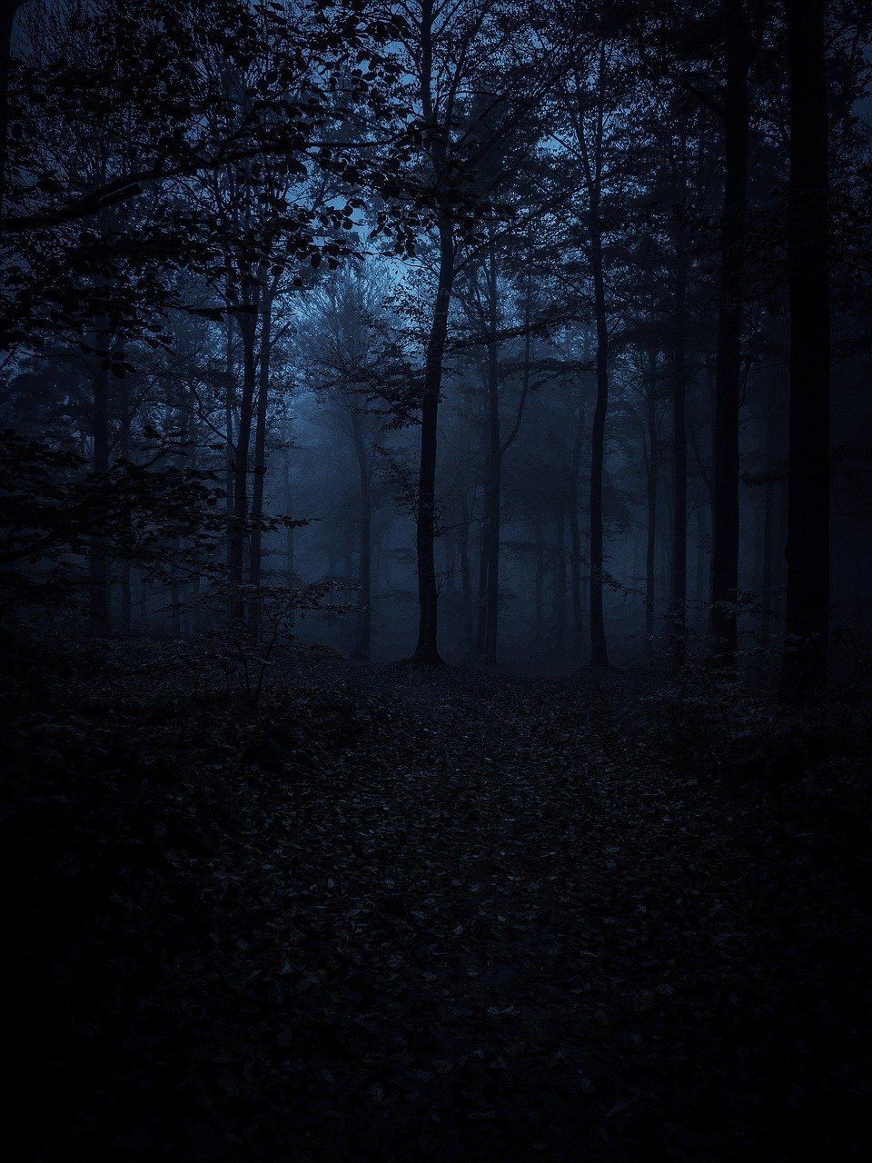 960x1280 Free Black Wallpaper & Black Image