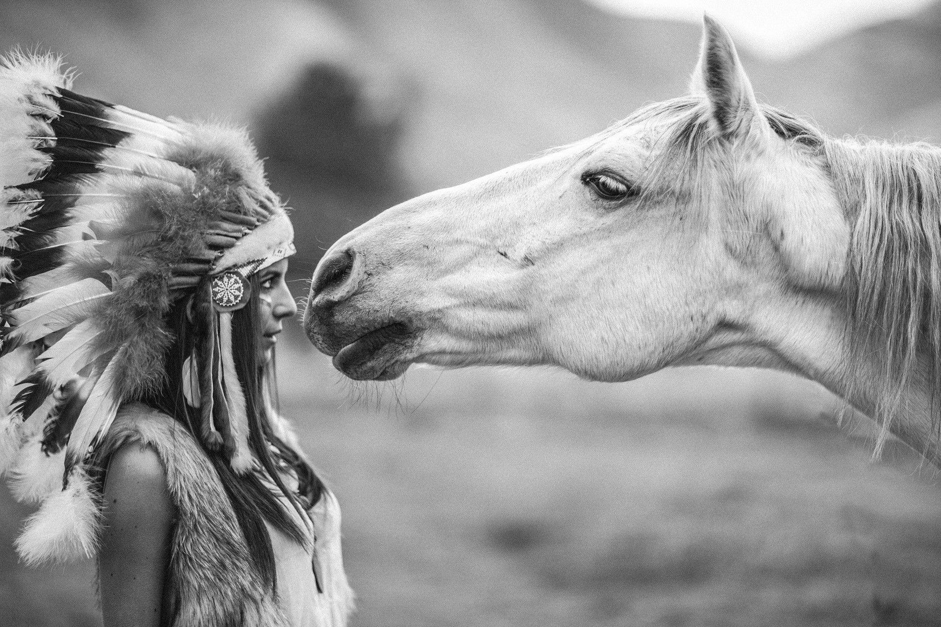 1920x1280 monochrome horse headdress hipster photography