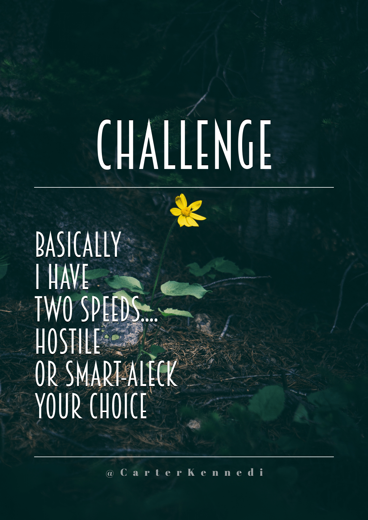 1240x1754 Print Quote Design - #Wording Design