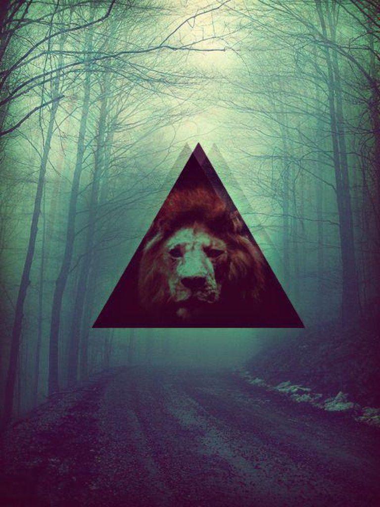 768x1024 Tumblr Tiger Triangle Gallery. Lions. Hipster