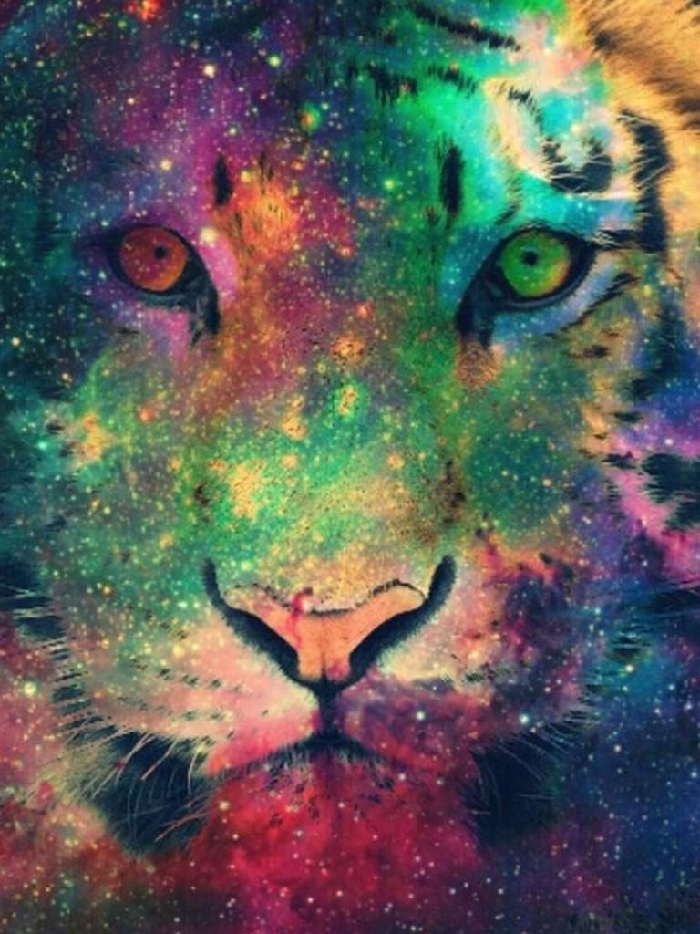 768x1024 Hipster Wallpaper Art for Android