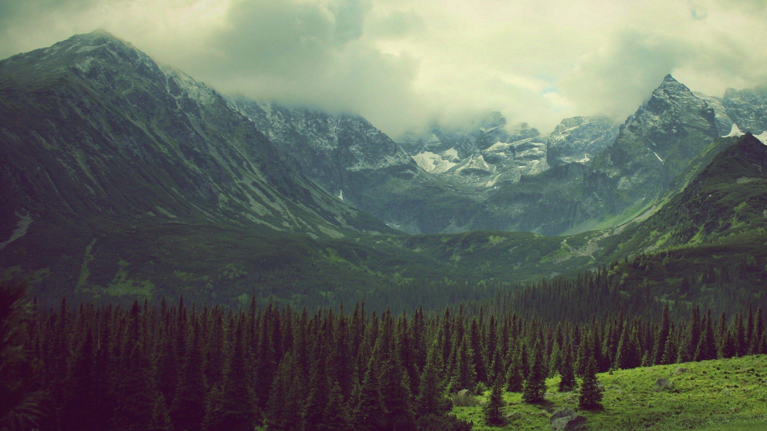 2560x1440 Hipster Art Triangle wallpaper