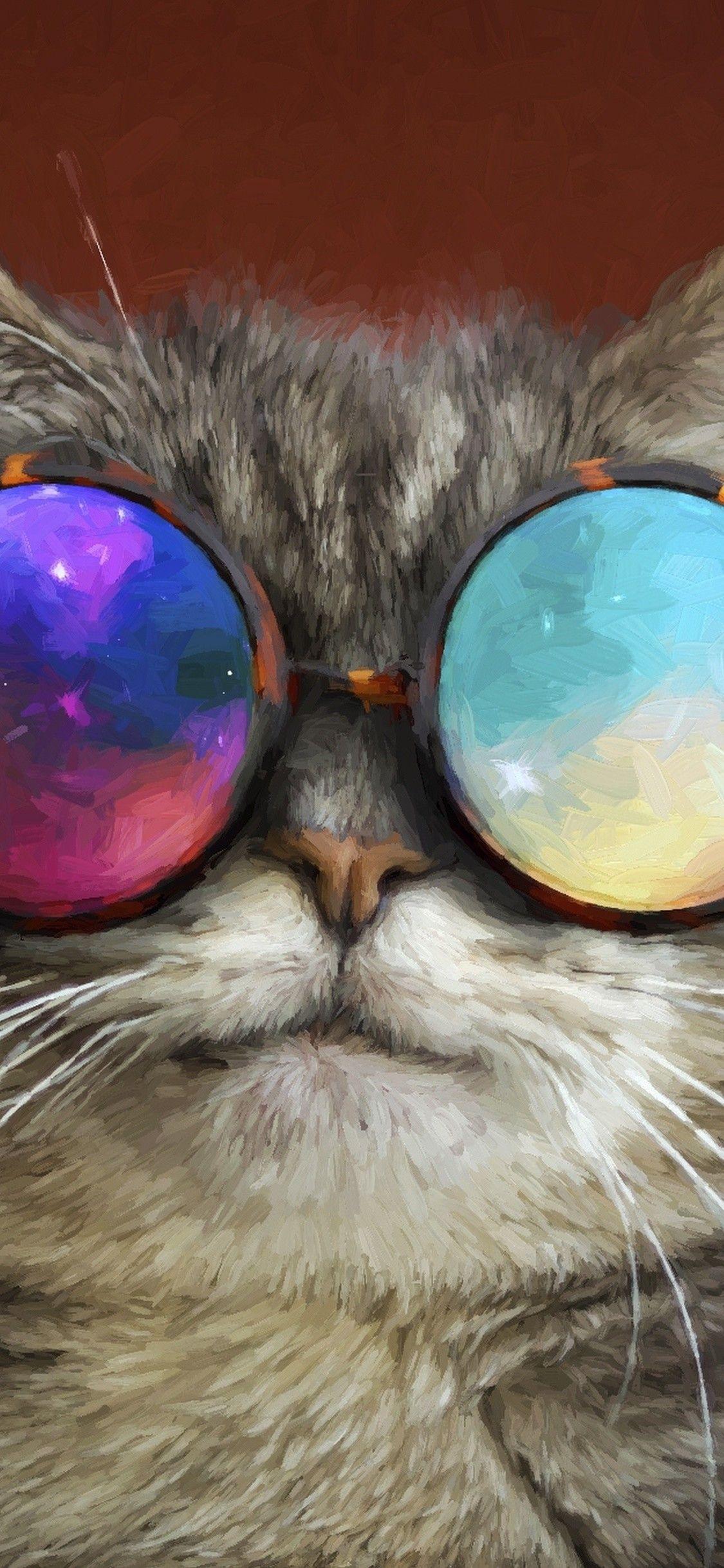1125x2436 Cool Cat Wallpaper