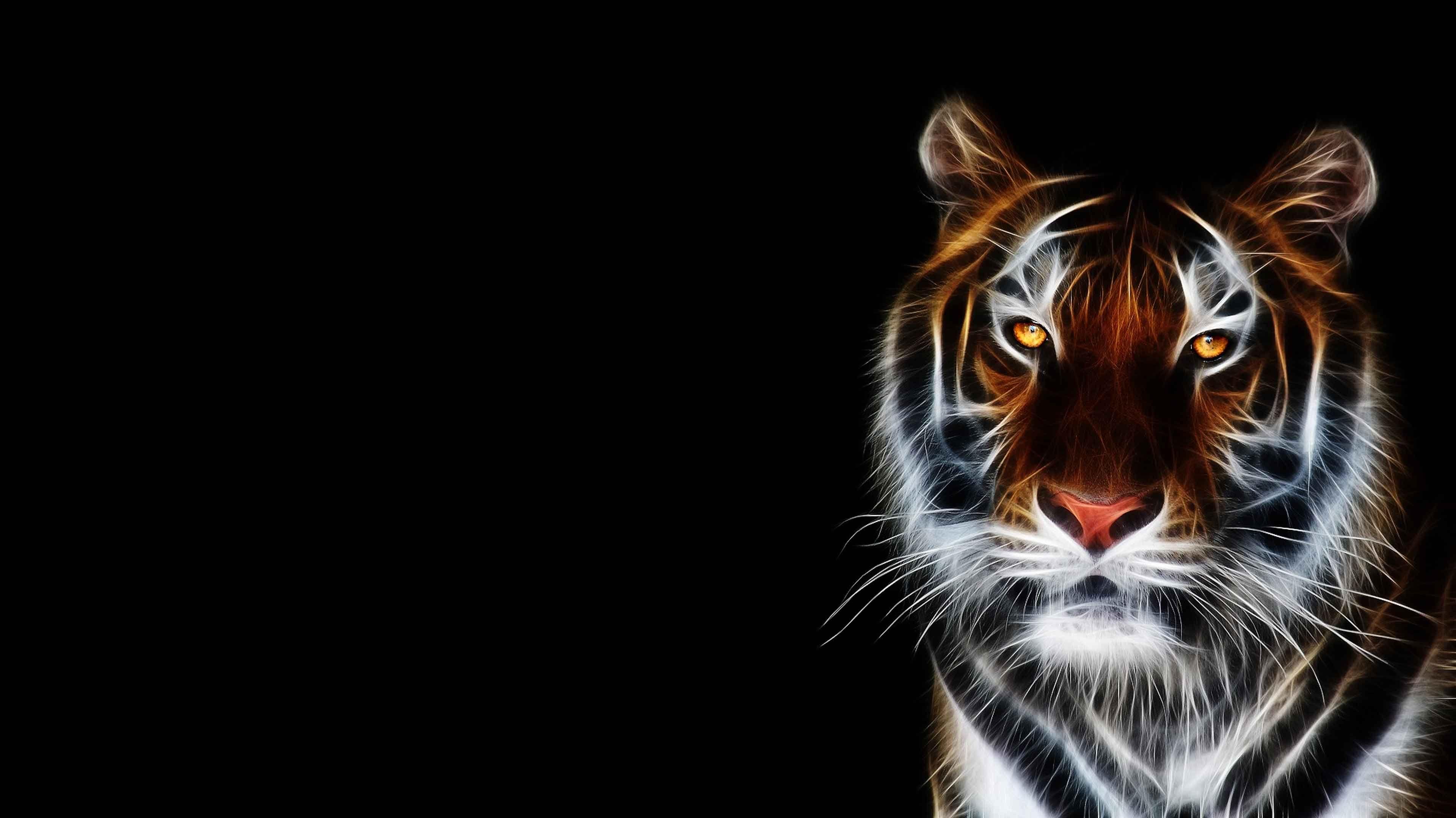 3840x2160 Lonesome Tiger wallpaper