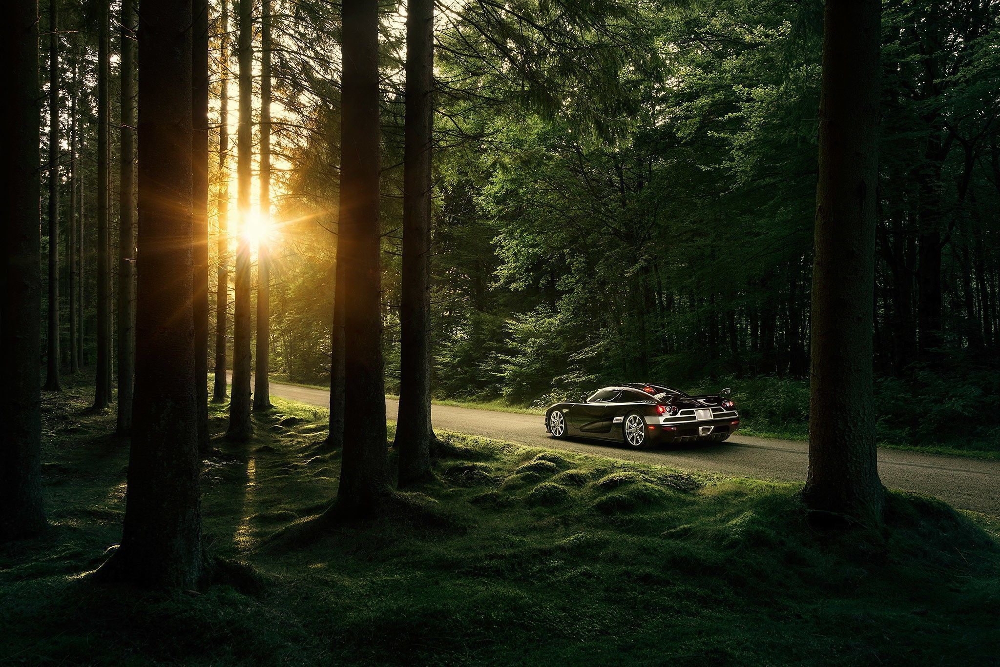 2048x1367 Forest Road With Car Wallpaper