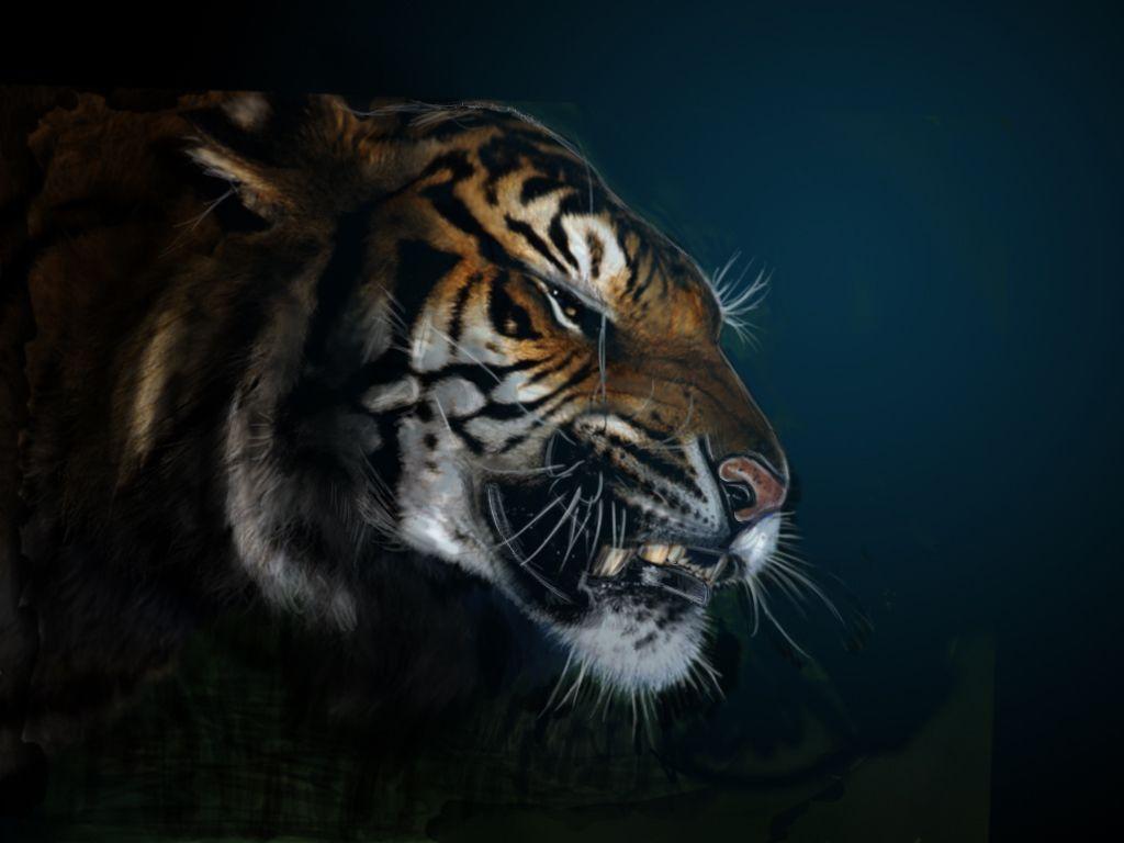 1024x768 Angry Tiger Eyes Wallpaper