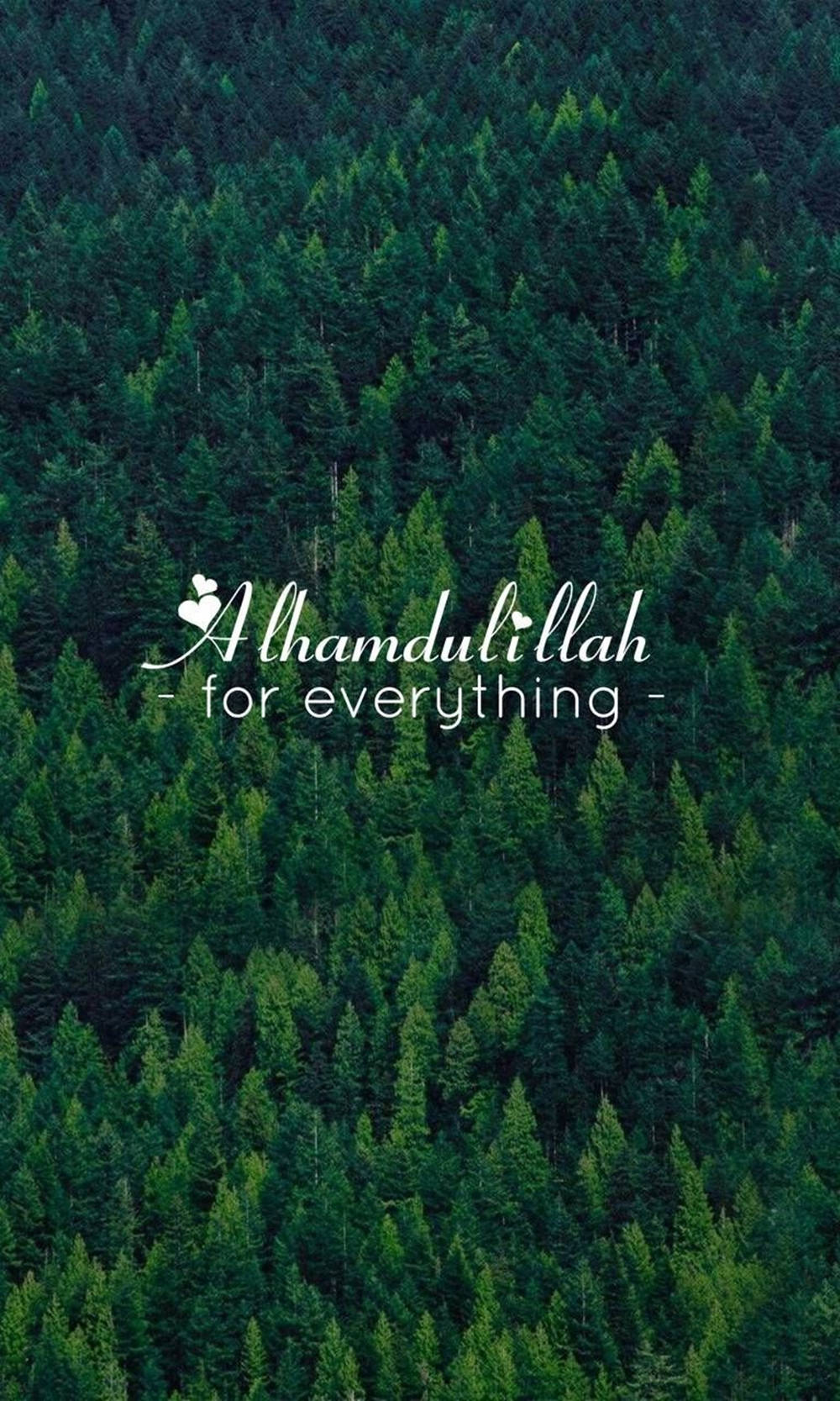 1000x1667 Alhamdulillah Evergreen Trees Wallpaper