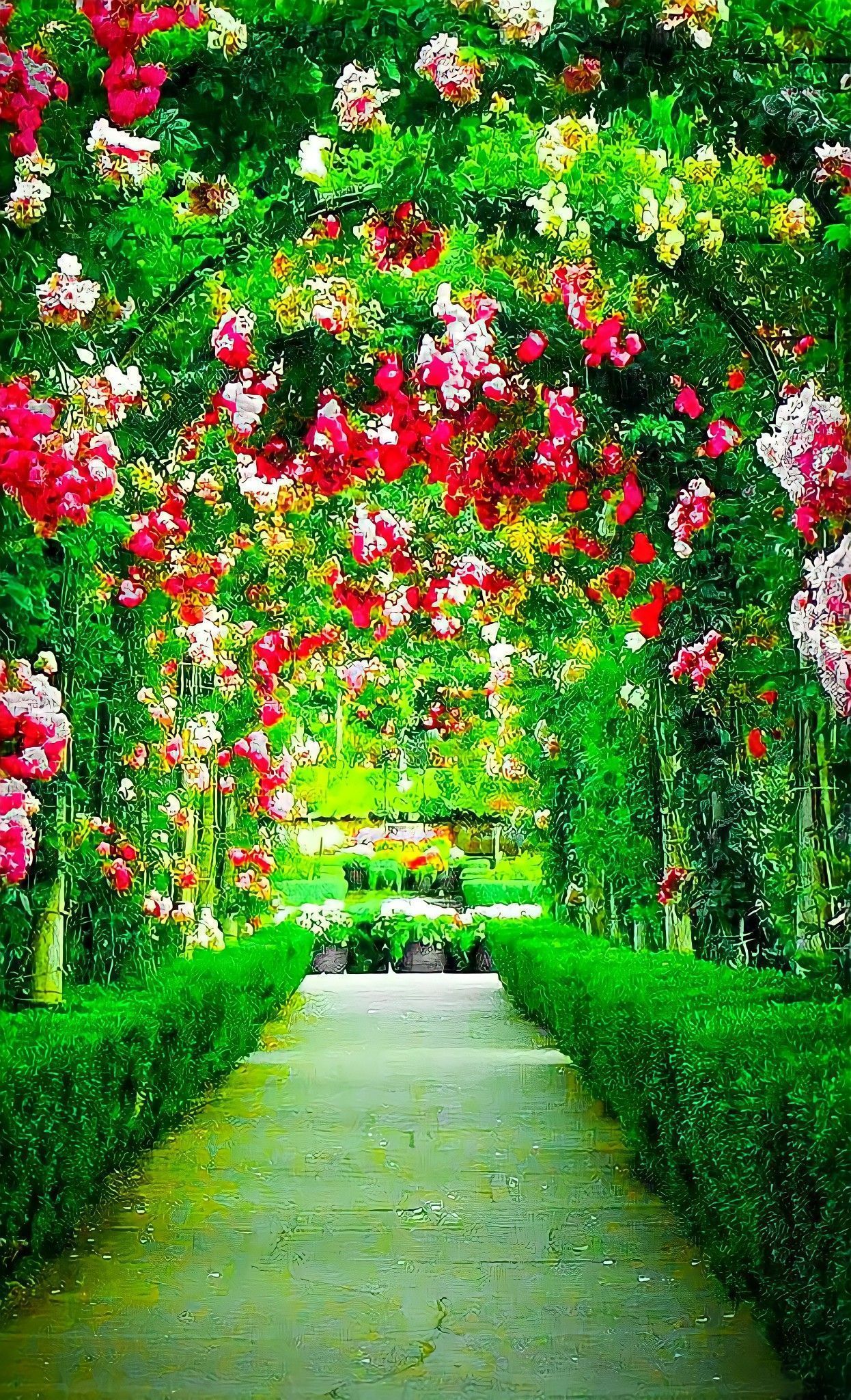 1246x2048 Garden Background