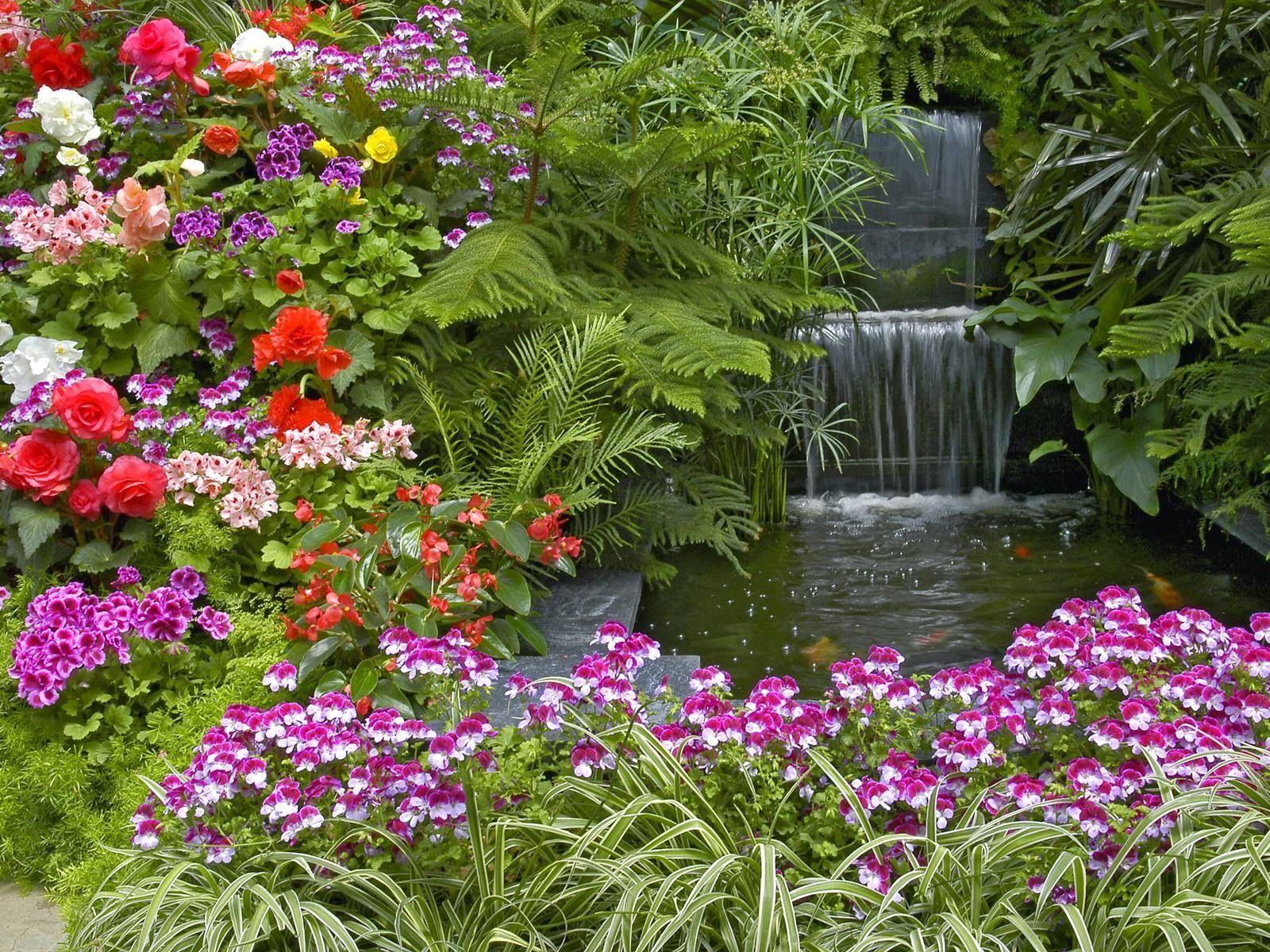 1600x1200 My Rose: HD Flower Garden Wallpaper