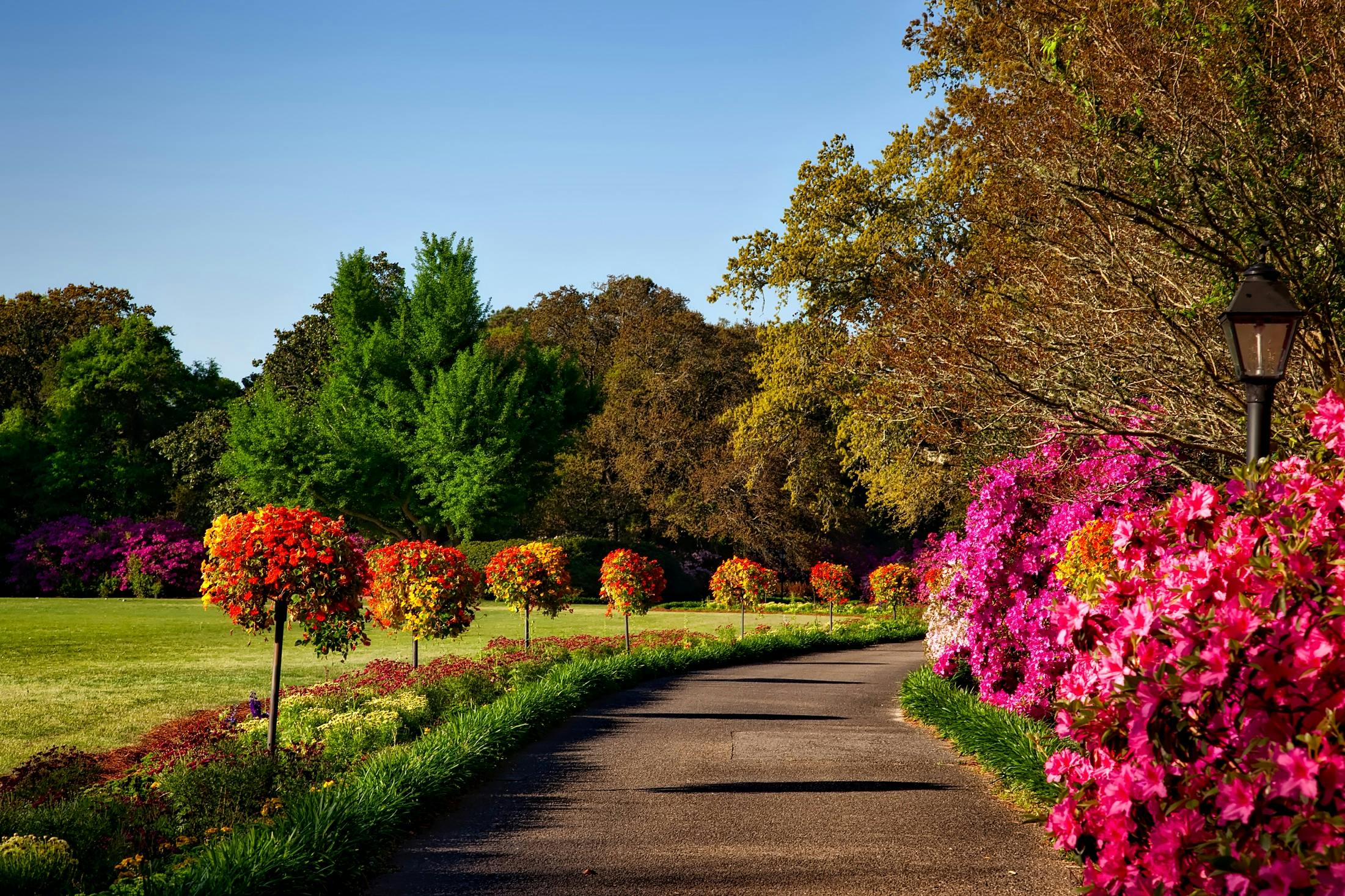 2201x1467 Best Garden Background & Image