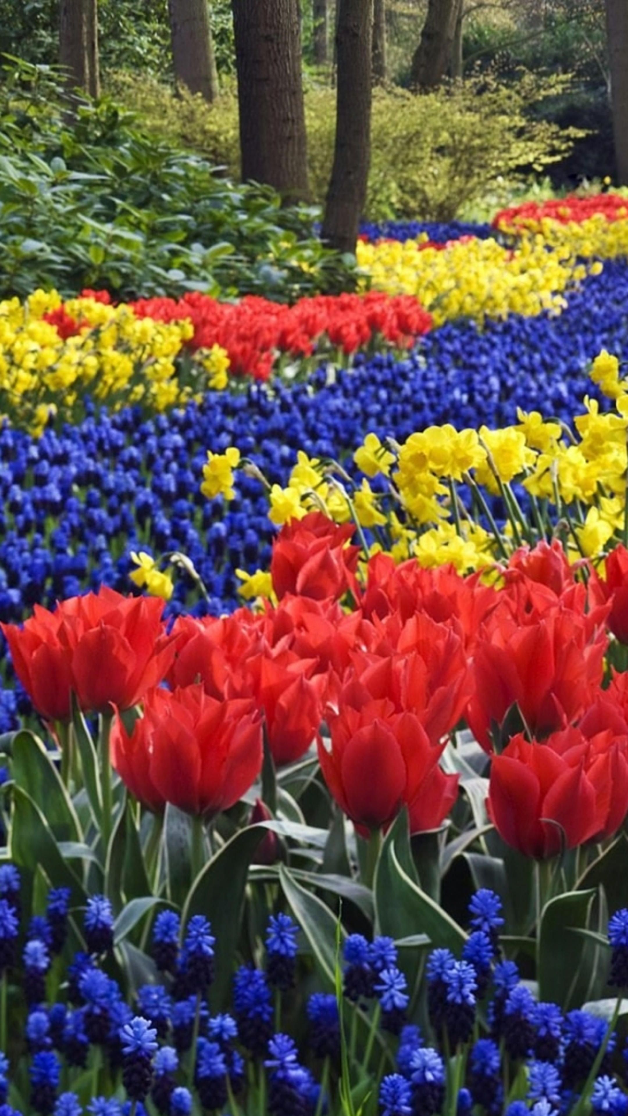 2160x3840 Flower Garden Wallpaper 27 image