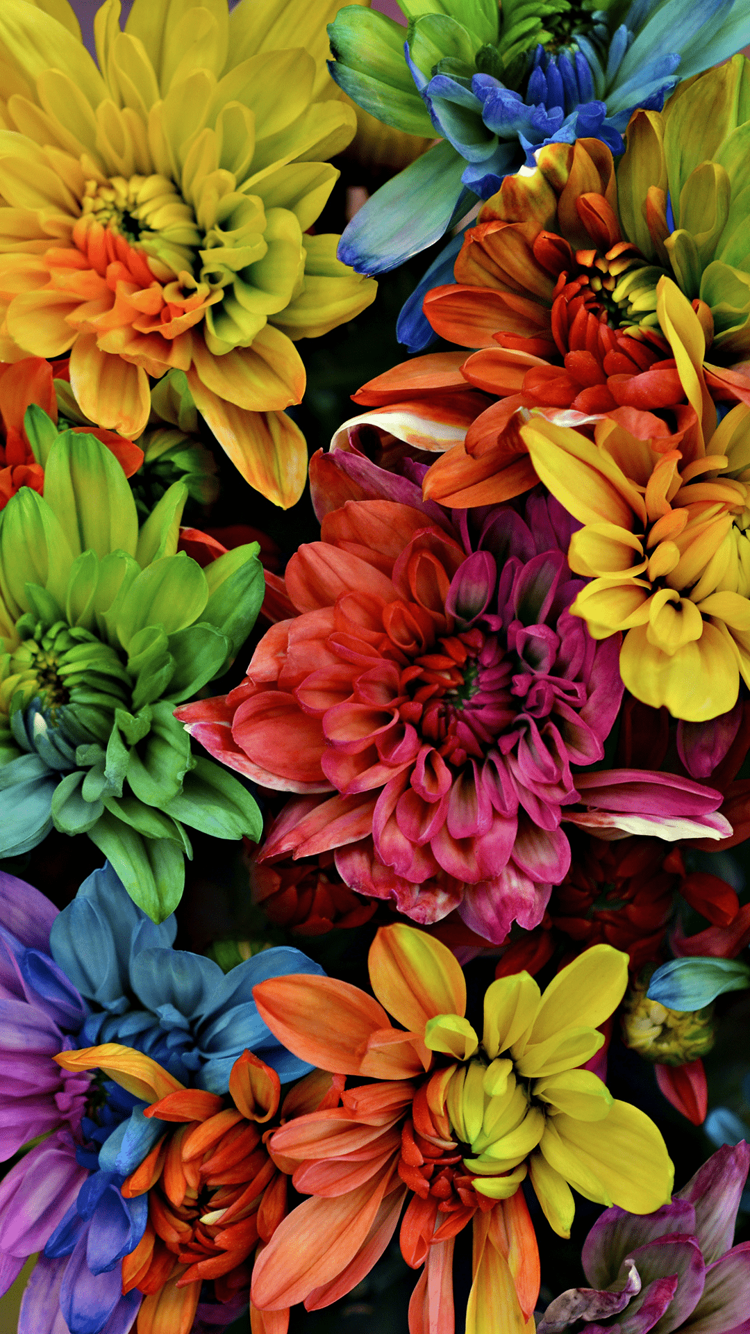 1080x1920 Garden Flowers Home Screen Wallpaper