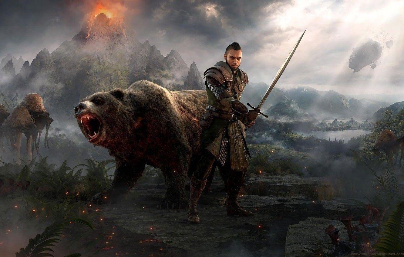 1332x850 Wallpaper Sword, Warrior, Bear, MAG, Morrowind, The Elder
