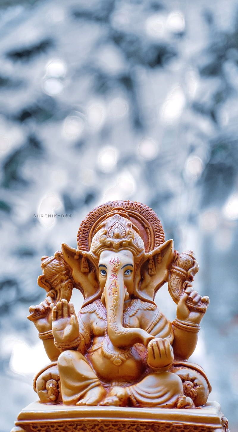 800x1451 Ganesha, bappa, ganapathi, HD phone