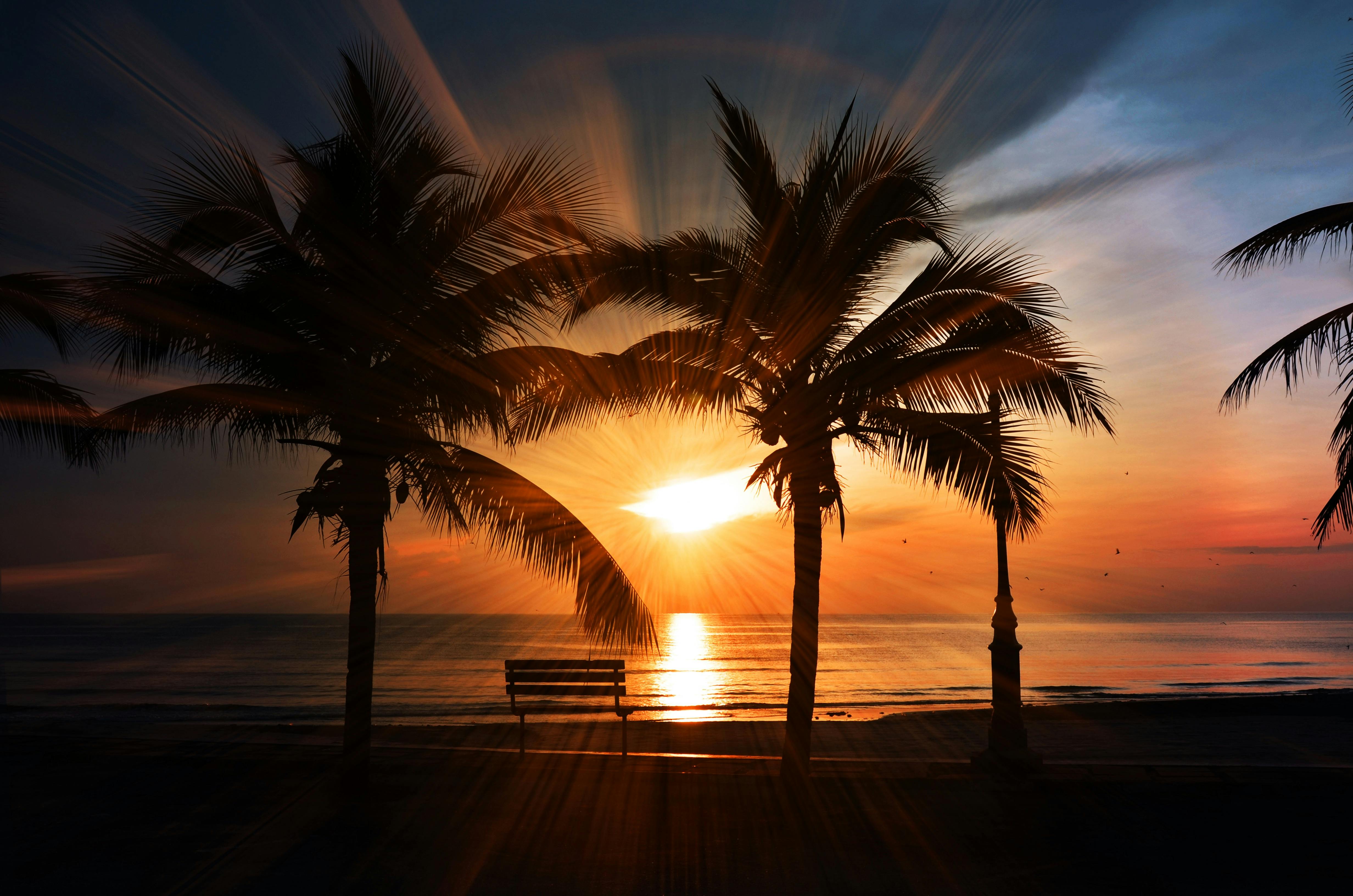 4928x3264 Sunset Beach Photo, Download The BEST