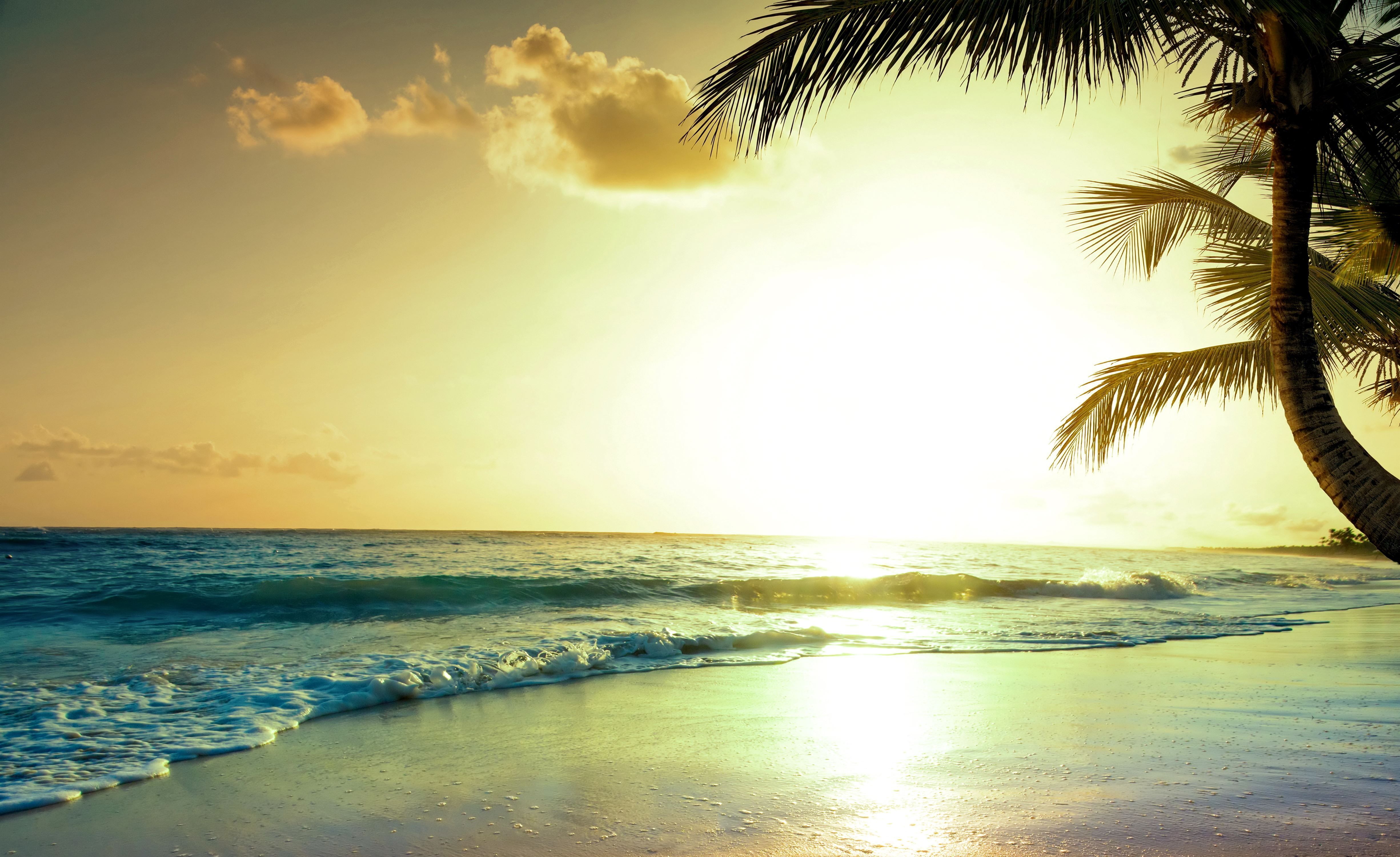 4902x3000 Tropical Beach Sunset 4k Wallpaper, HD