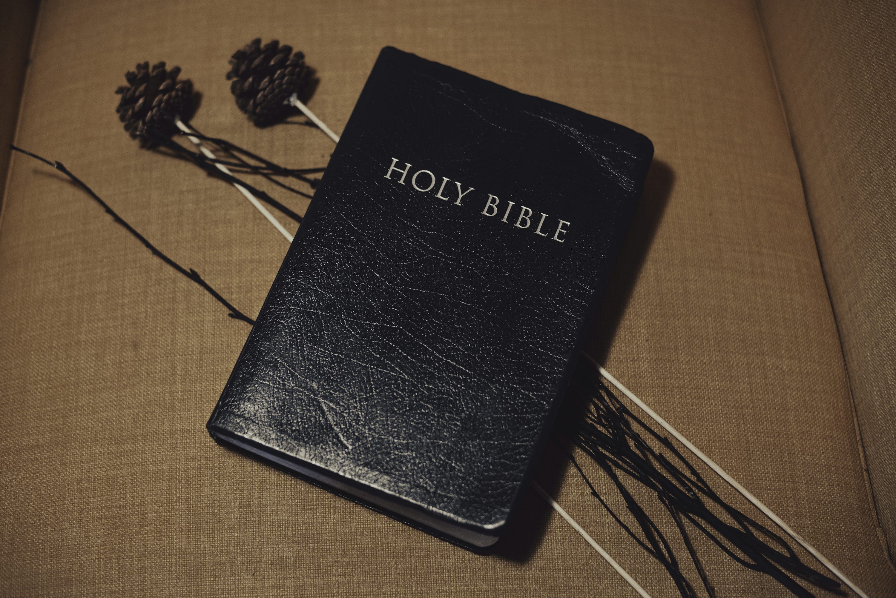 3000x2003 King James Bible Picture