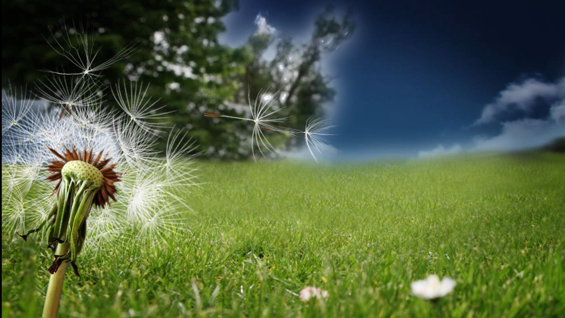 1920x1080 Allergy Sufferers Face Brutal Pollen Season