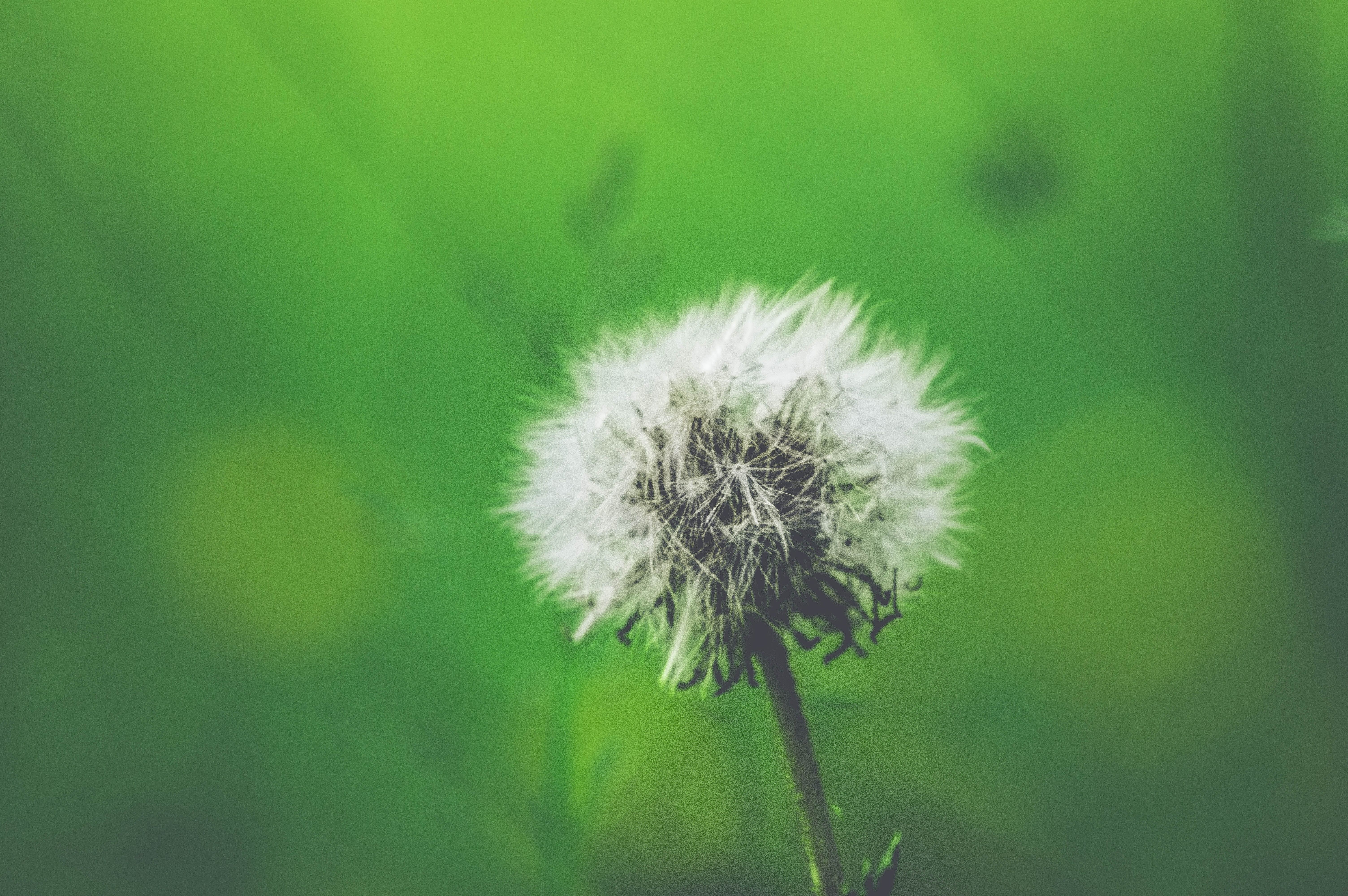 6016x4000 Practical Ways to Design an Allergy