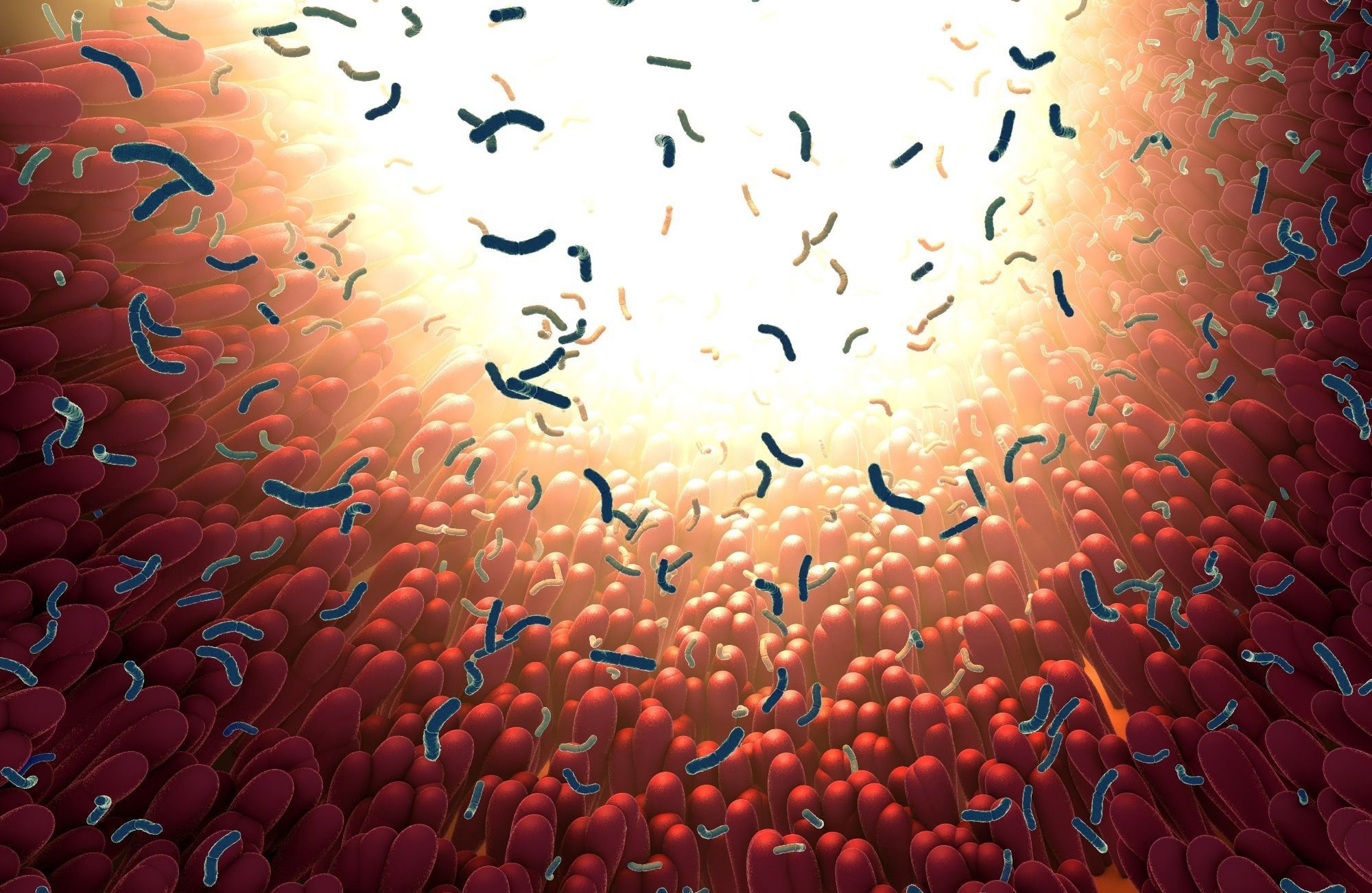 2000x1303 gut bacteria predict food allergies