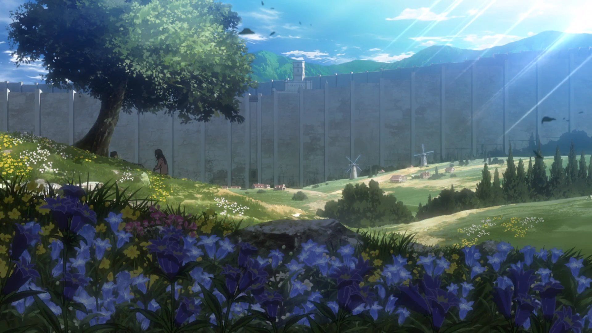 1920x1080 Best zoom wallpaper ideas. attack on titan aesthetic, attack on titan anime, attack on titan