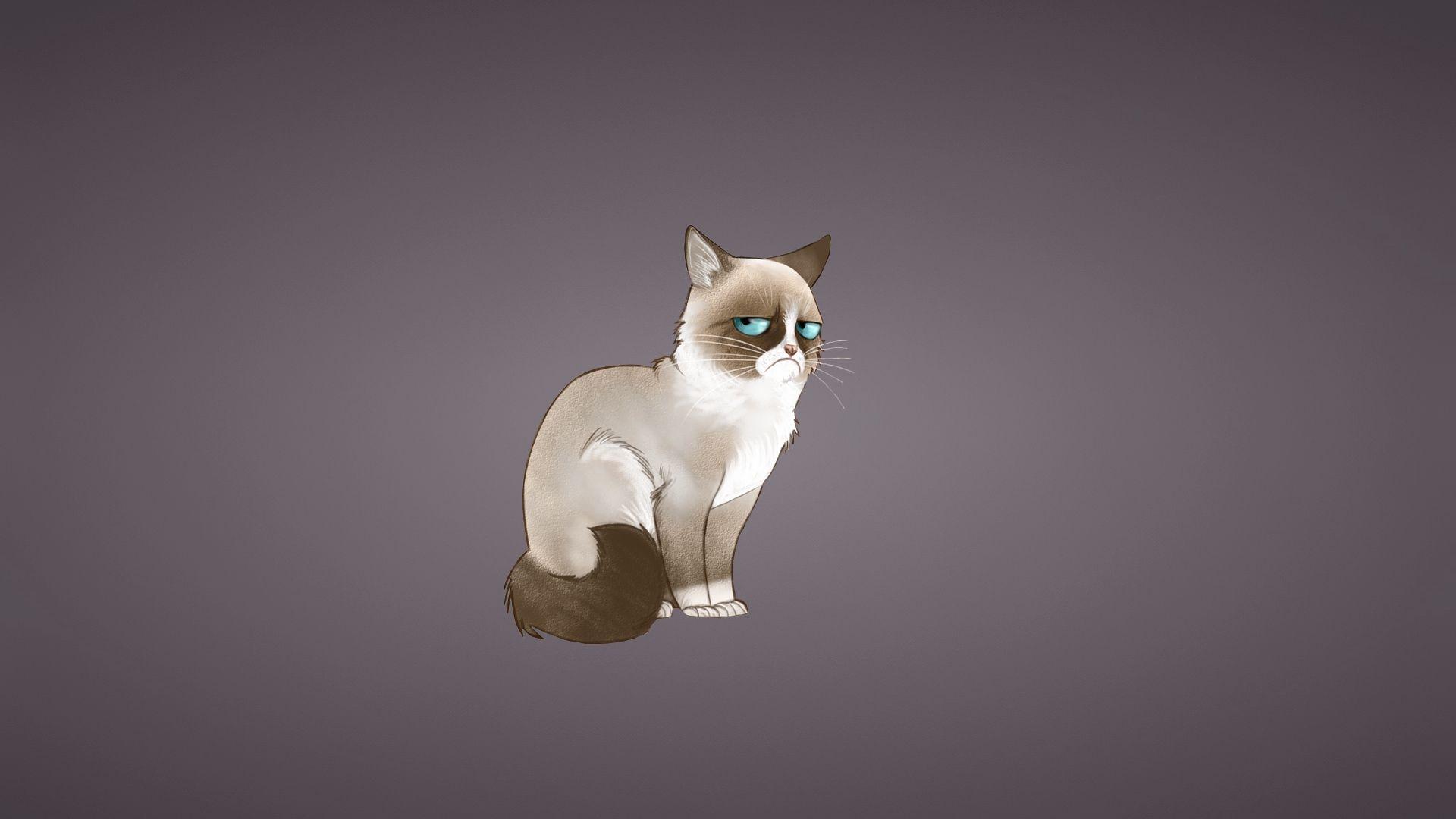1920x1080 Download wallpaper 1920x1080 grumpy cat, meme, cat full HD
