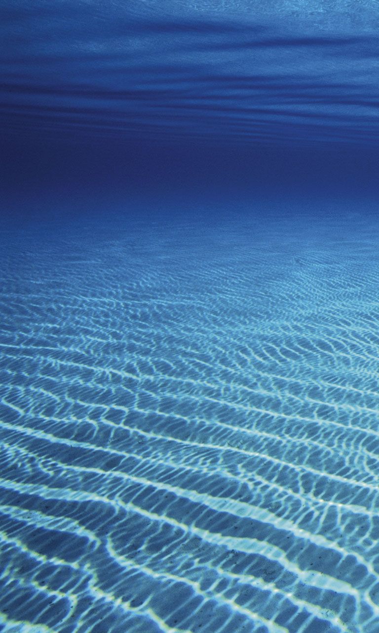 Bottom of The Sea Wallpapers - Top Free Bottom of The Sea Backgrounds ...