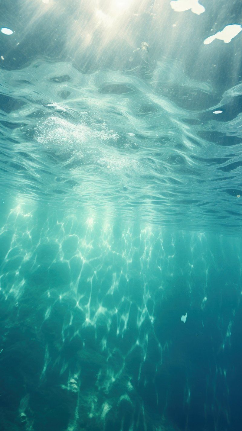Bottom of The Sea Wallpapers - Top Free Bottom of The Sea Backgrounds ...