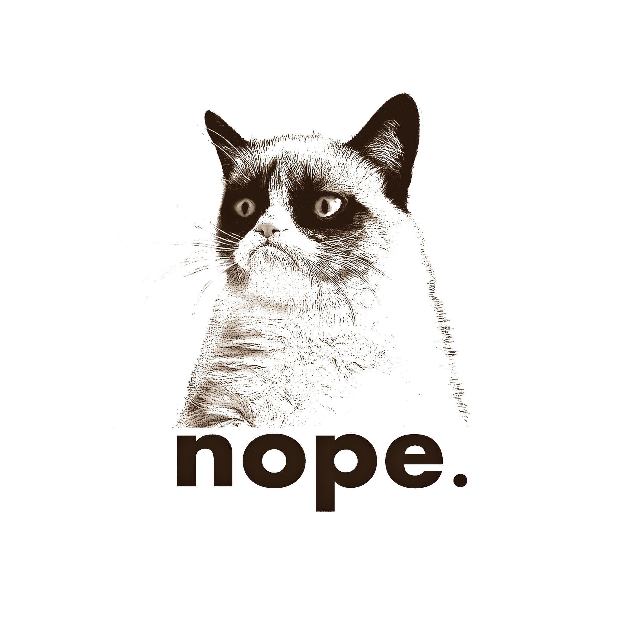 2048x2048 Grumpy Cat Wallpaper, Grumpy Cat PC Background LUY