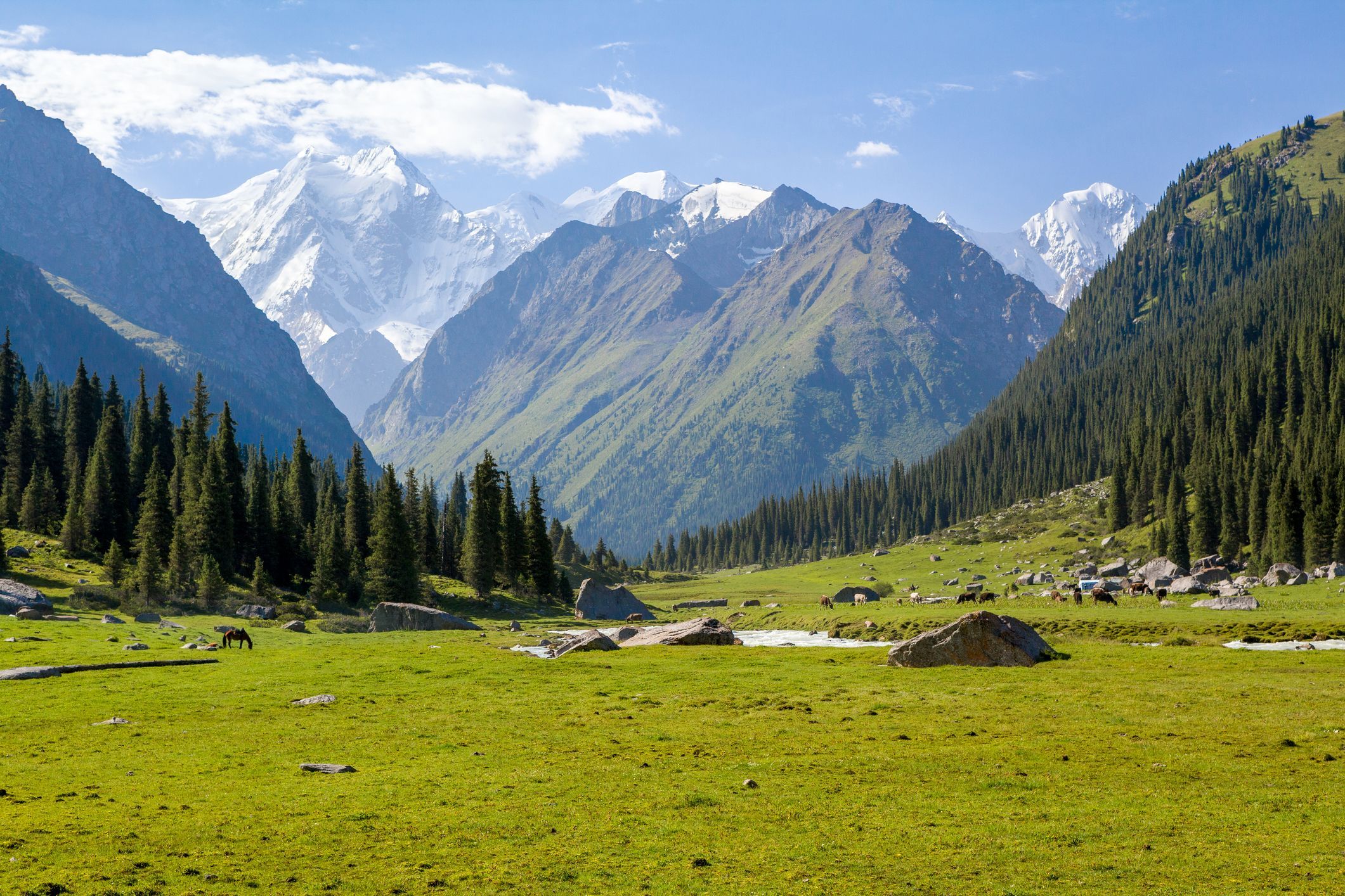 2121x1414 Central Asia Wallpaper