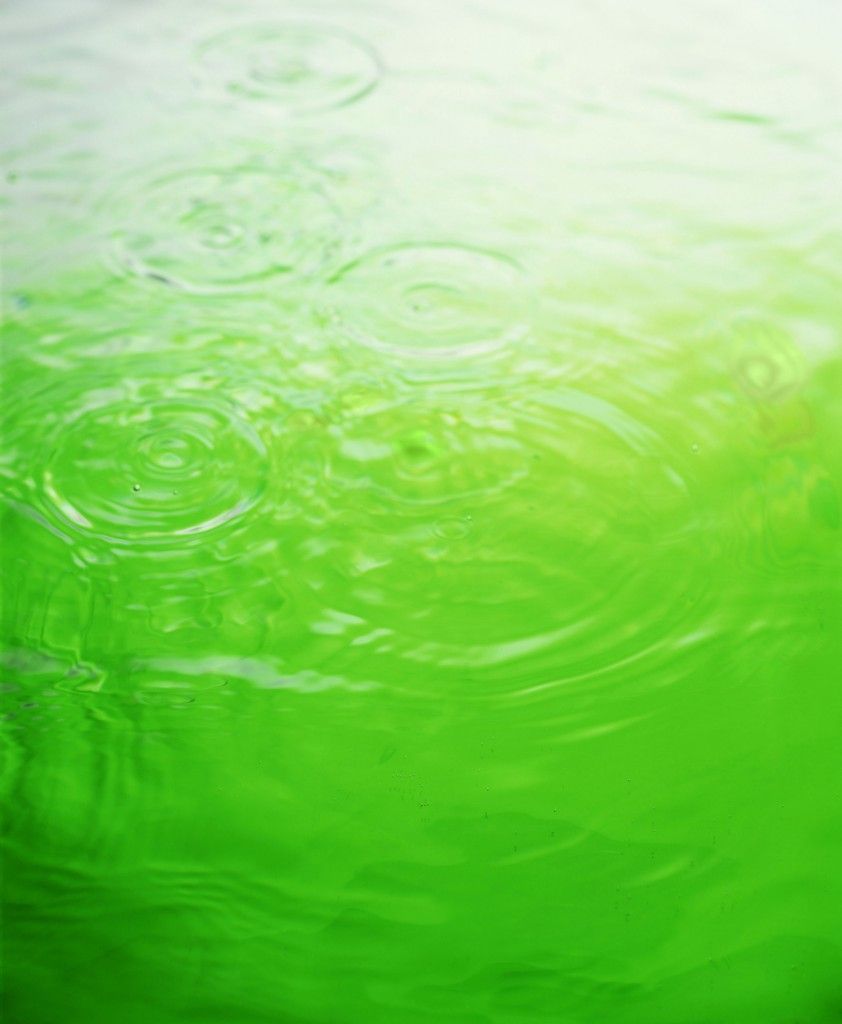 842x1024 Green Water Wallpaper