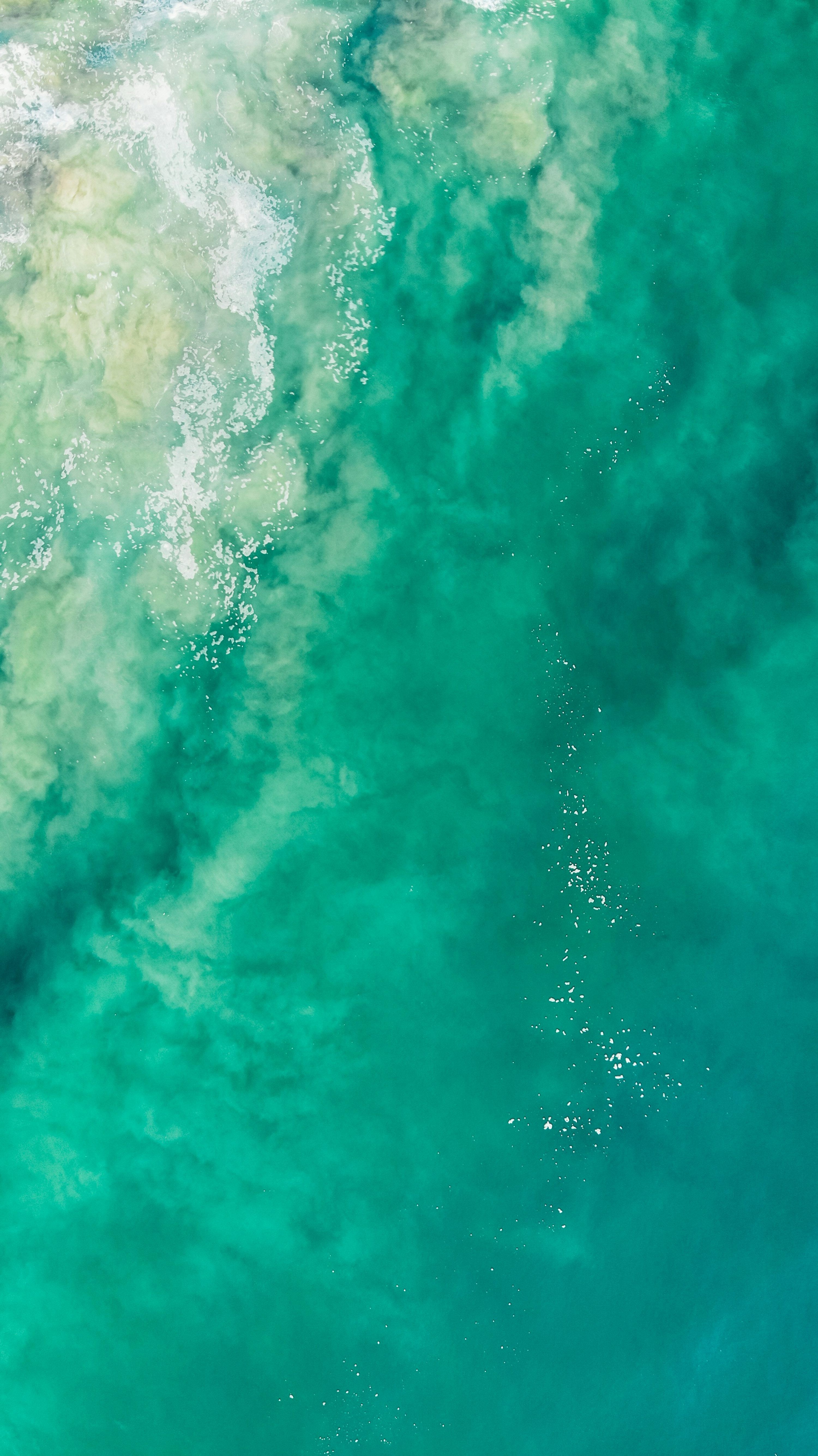 3000x5337 Free Wallpaper Image