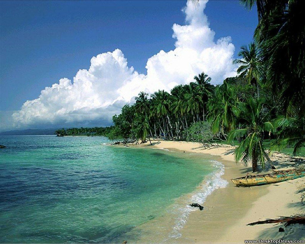 1024x819 Beach Trees Green Water