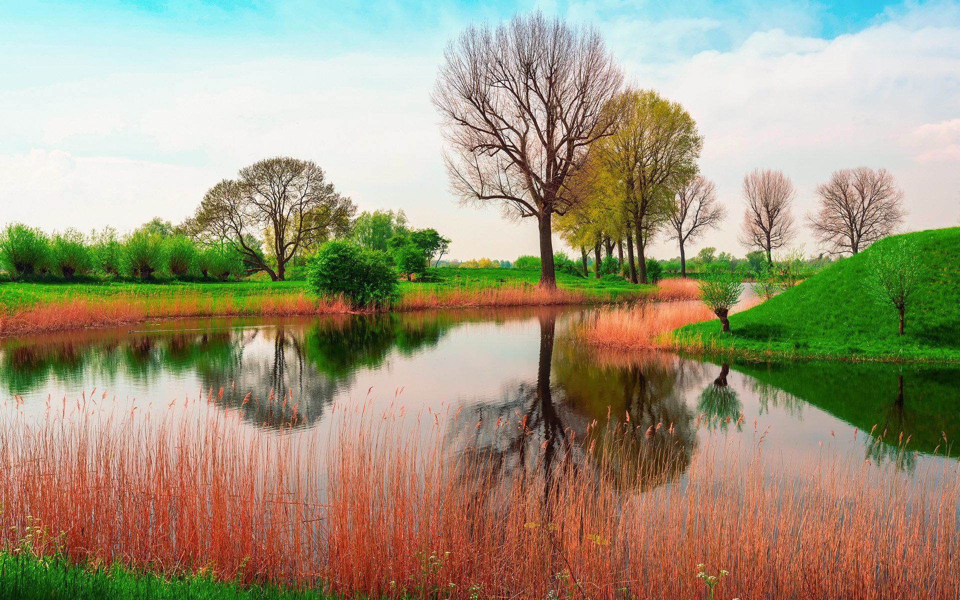 1920x1200 Nature River HD Wallpaper